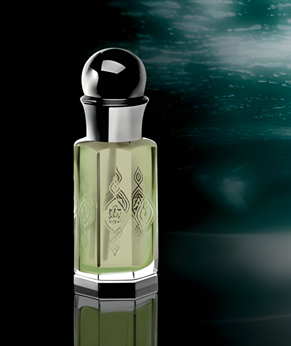 Picture of Amber Spirit fragrance