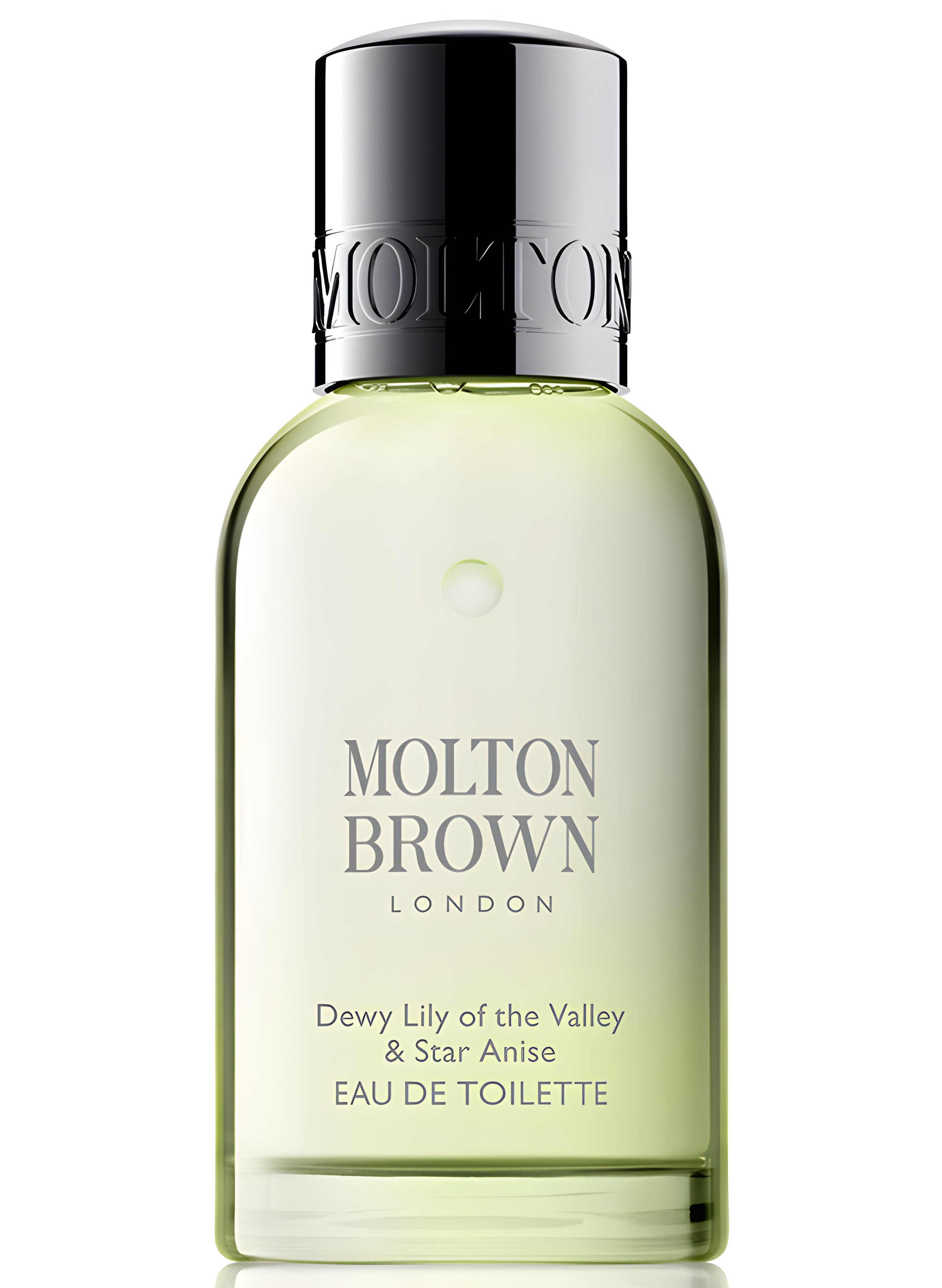 Picture of Dewy Lily of the Valley & Star Anise fragrance