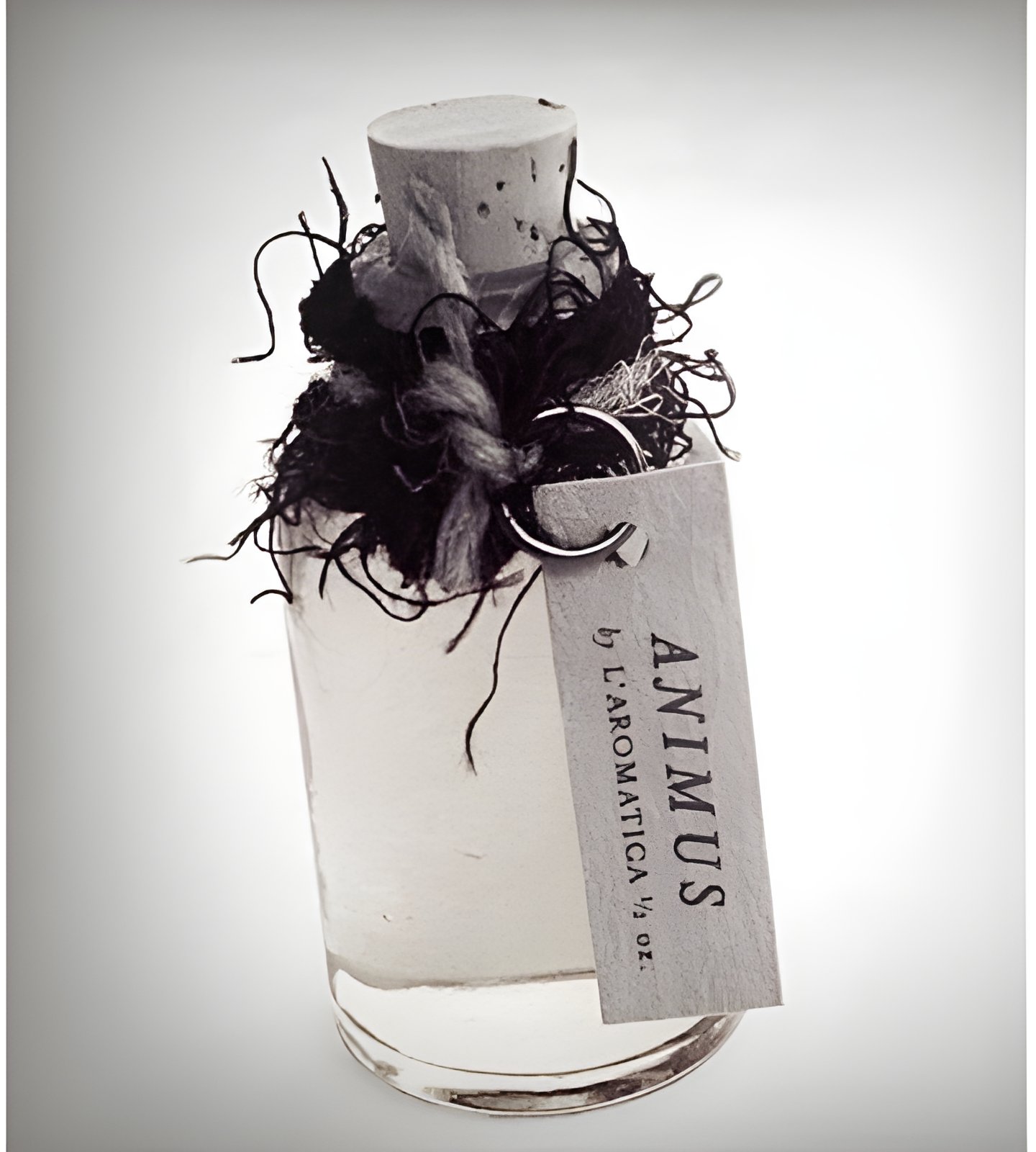 Picture of Animus fragrance