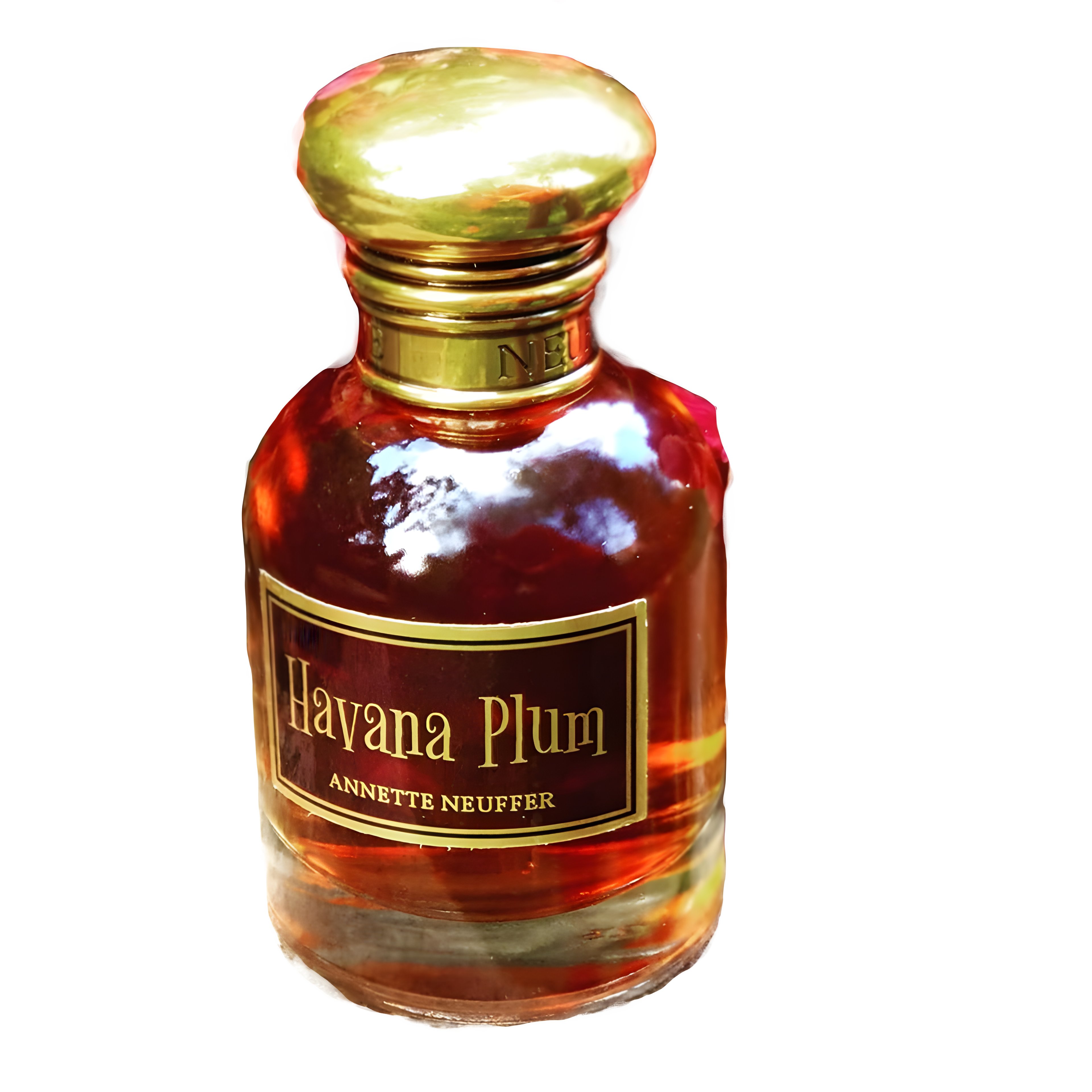 Picture of Havana Plum fragrance