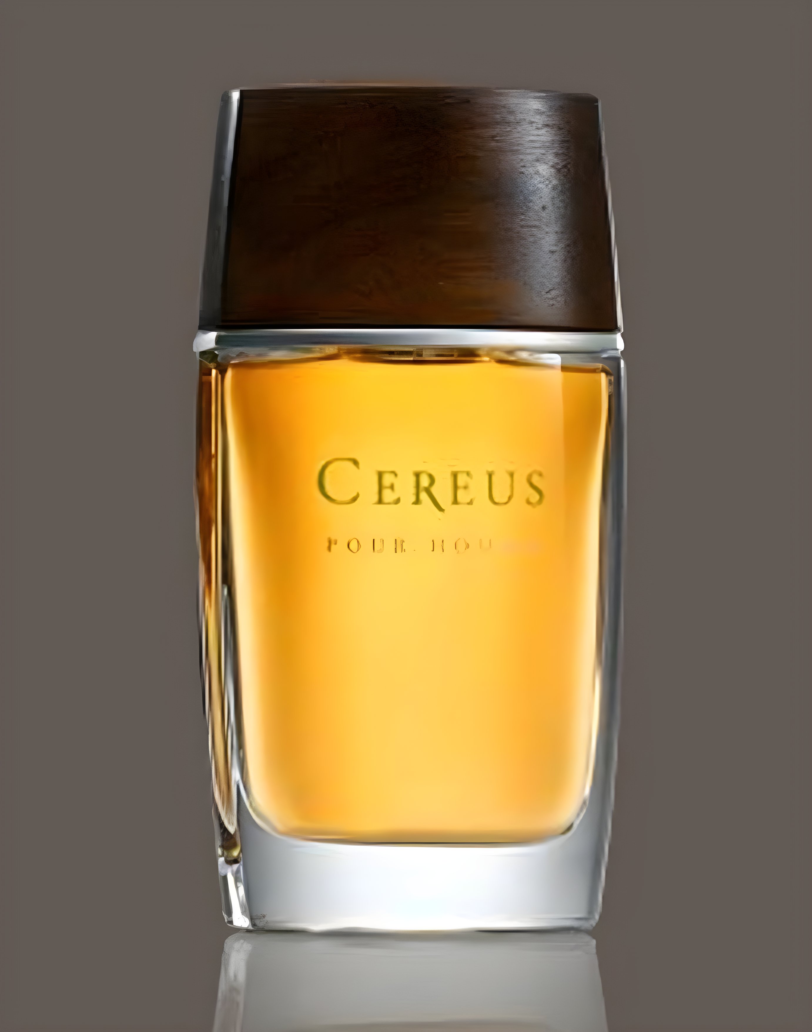 Picture of Cereus No.11 fragrance