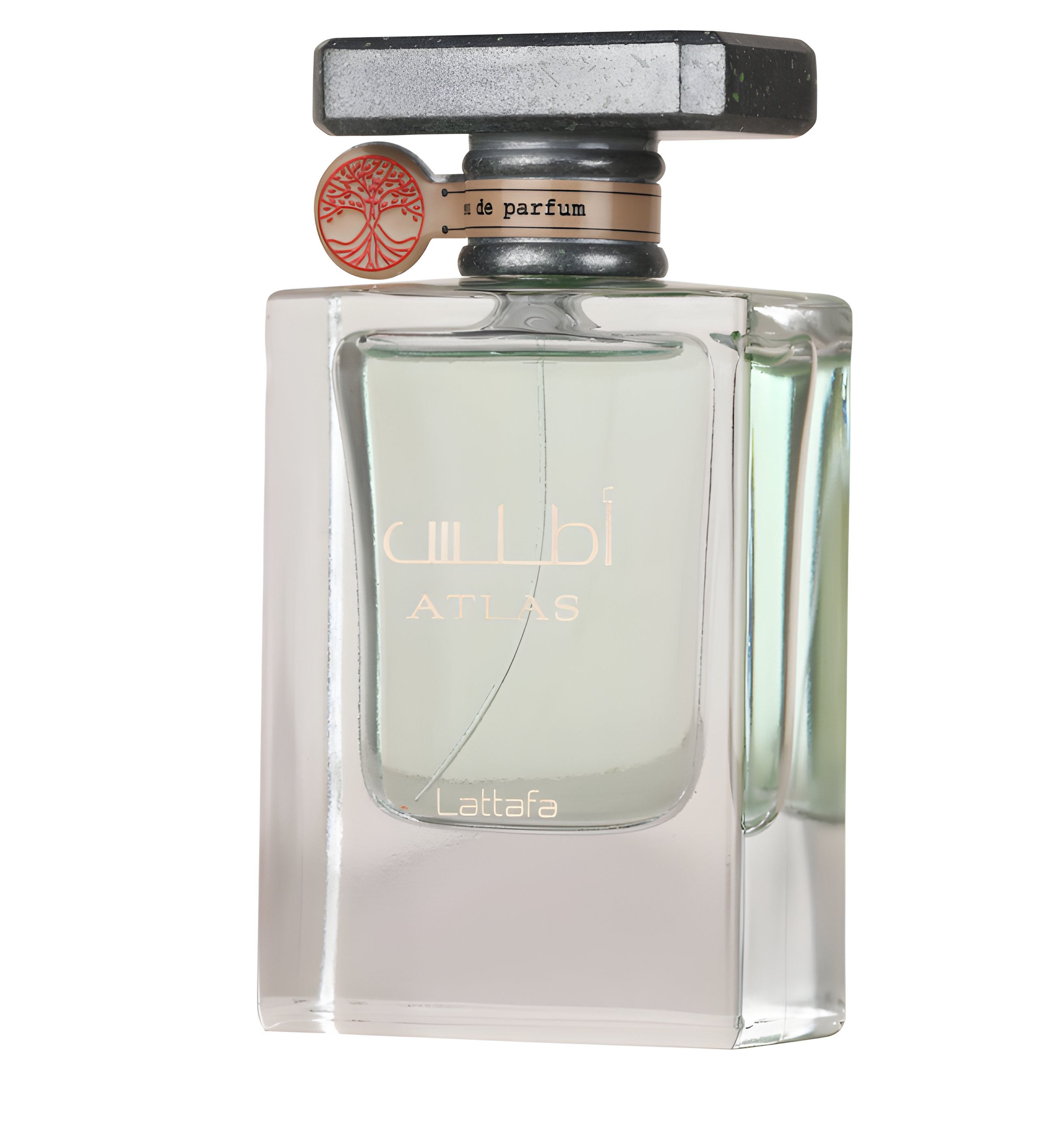 Picture of Atlas fragrance