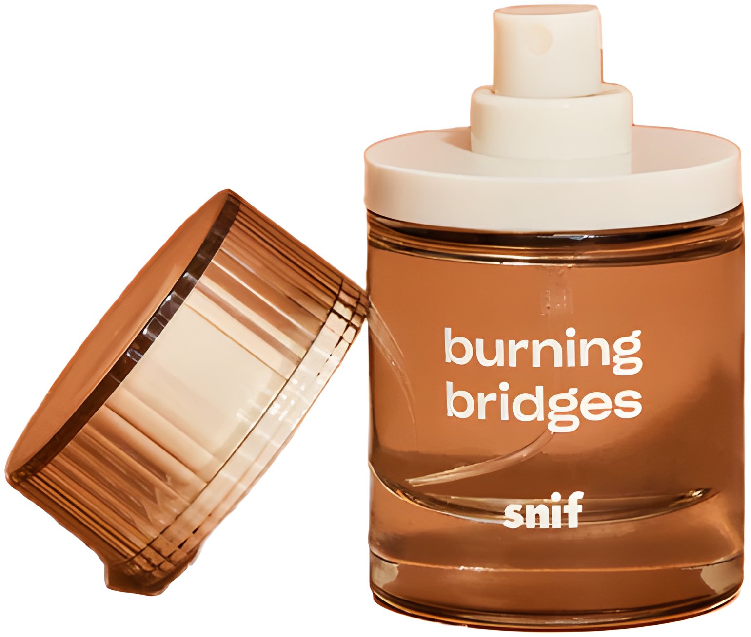 Picture of Burning Bridges fragrance