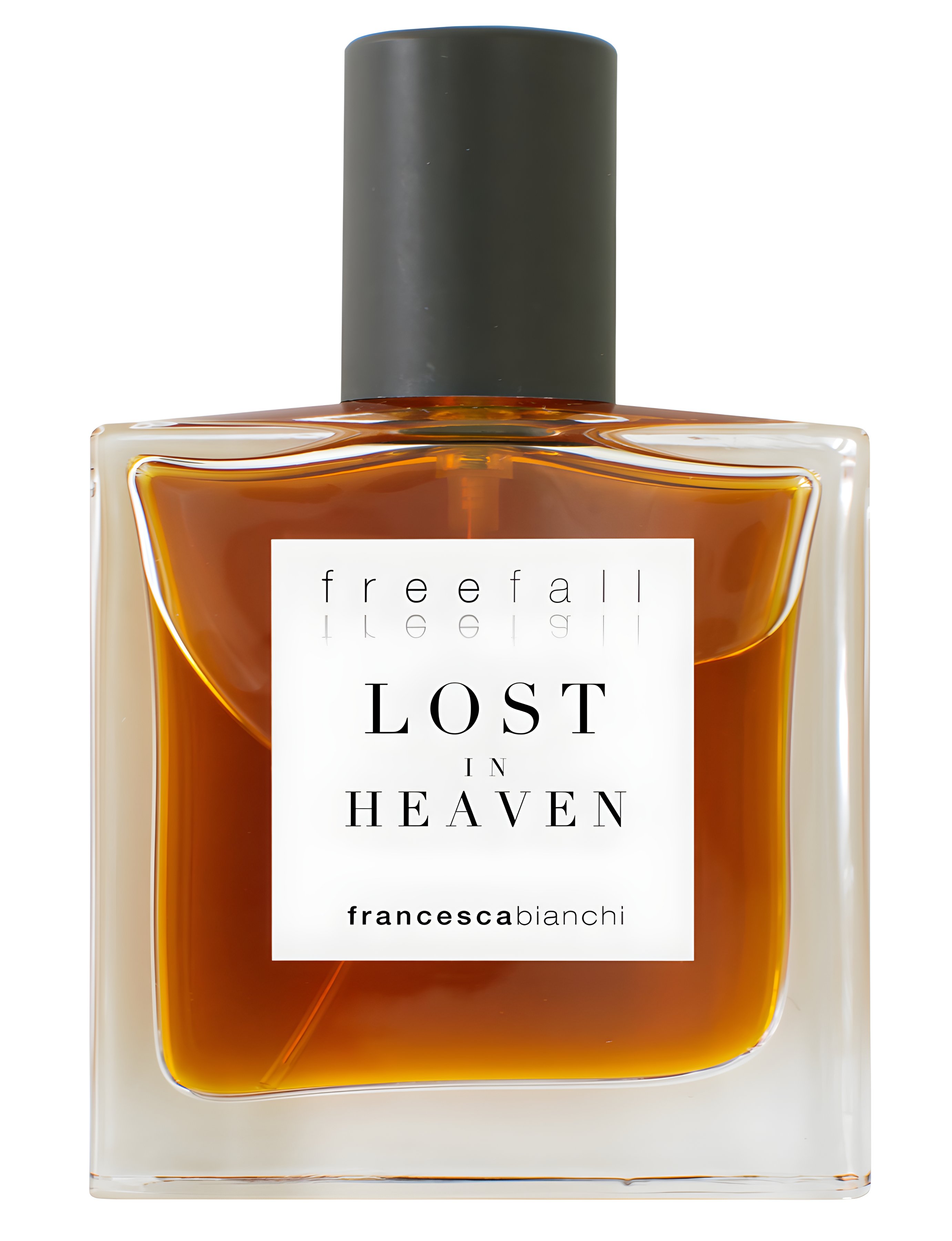 Picture of Lost in Heaven fragrance