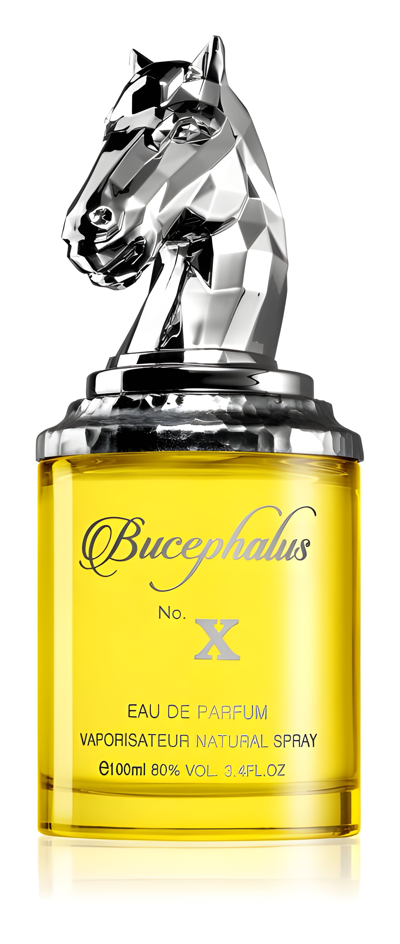 Picture of Bucephalus X fragrance