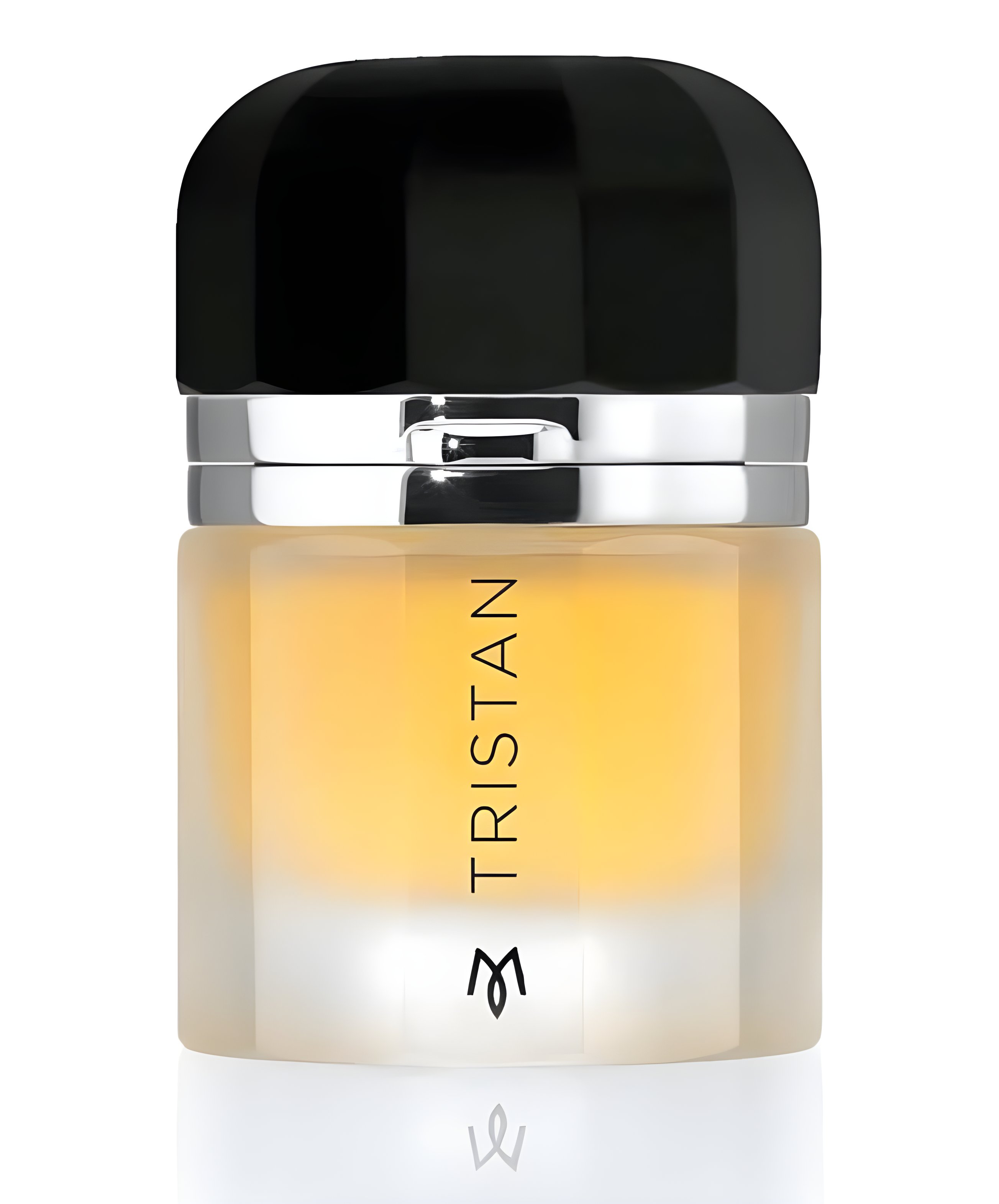 Picture of Tristan fragrance