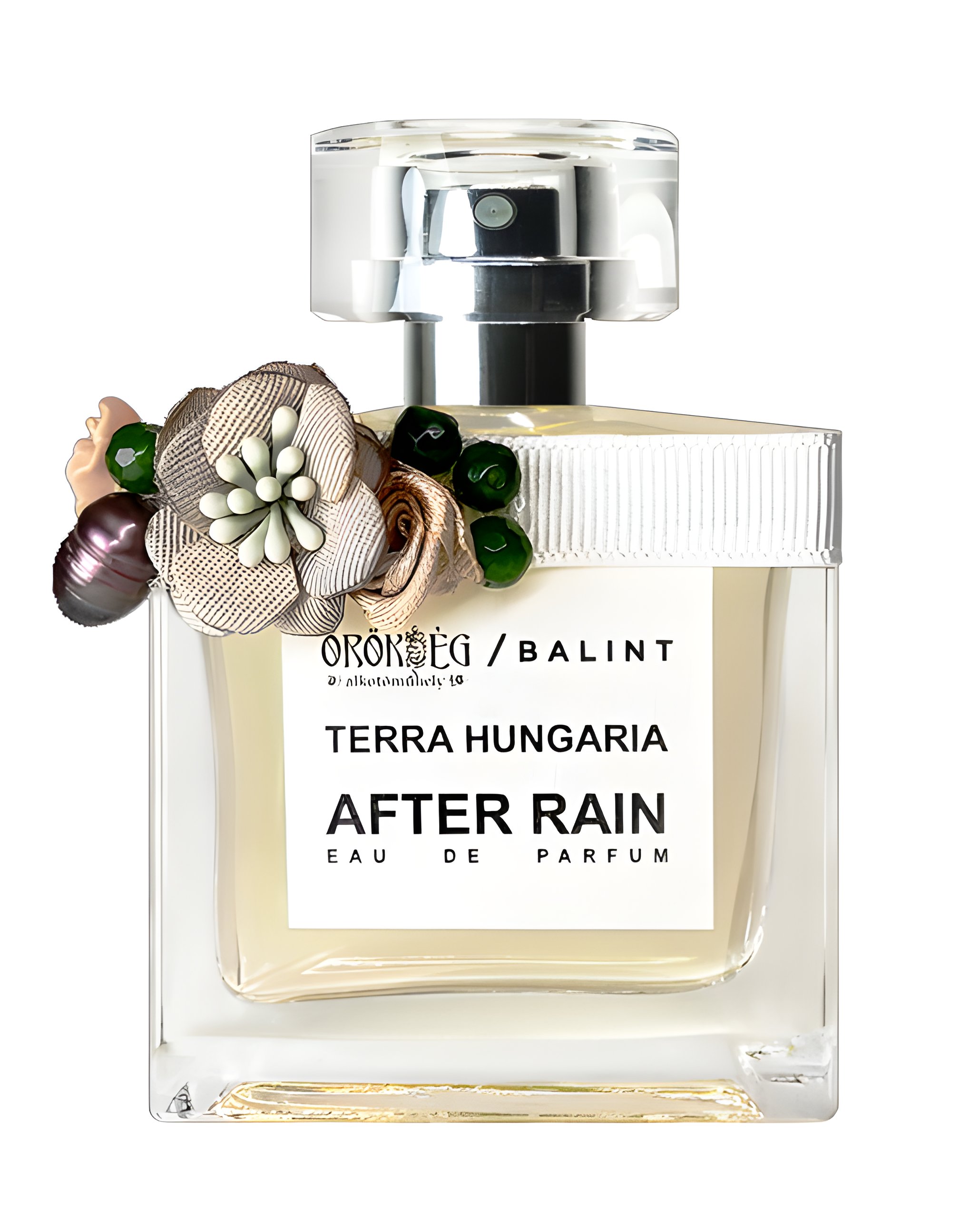 Picture of After Rain fragrance