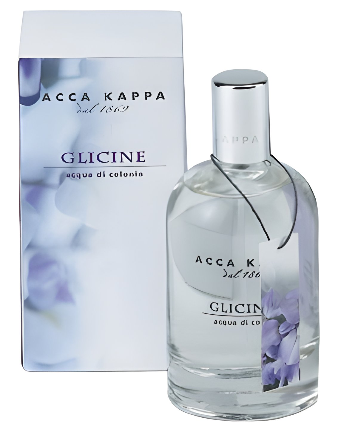 Picture of Glicine fragrance