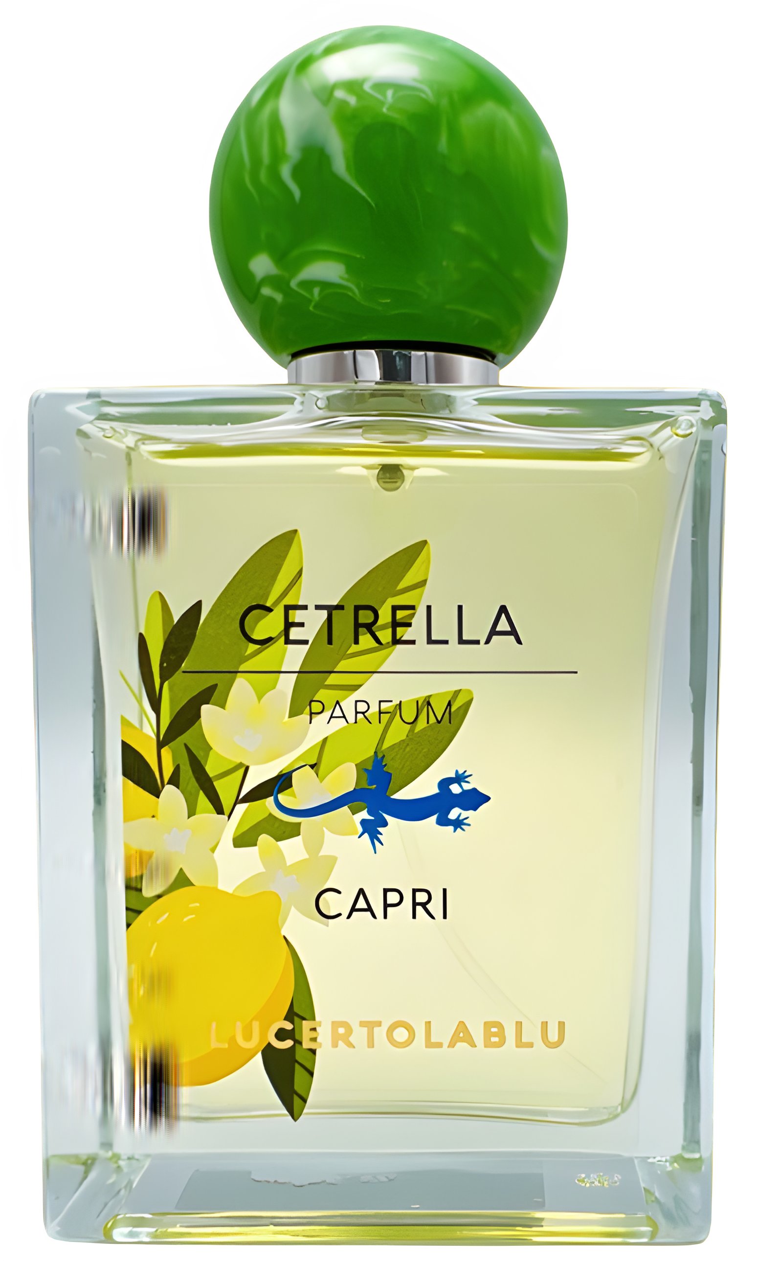 Picture of Cetrella fragrance