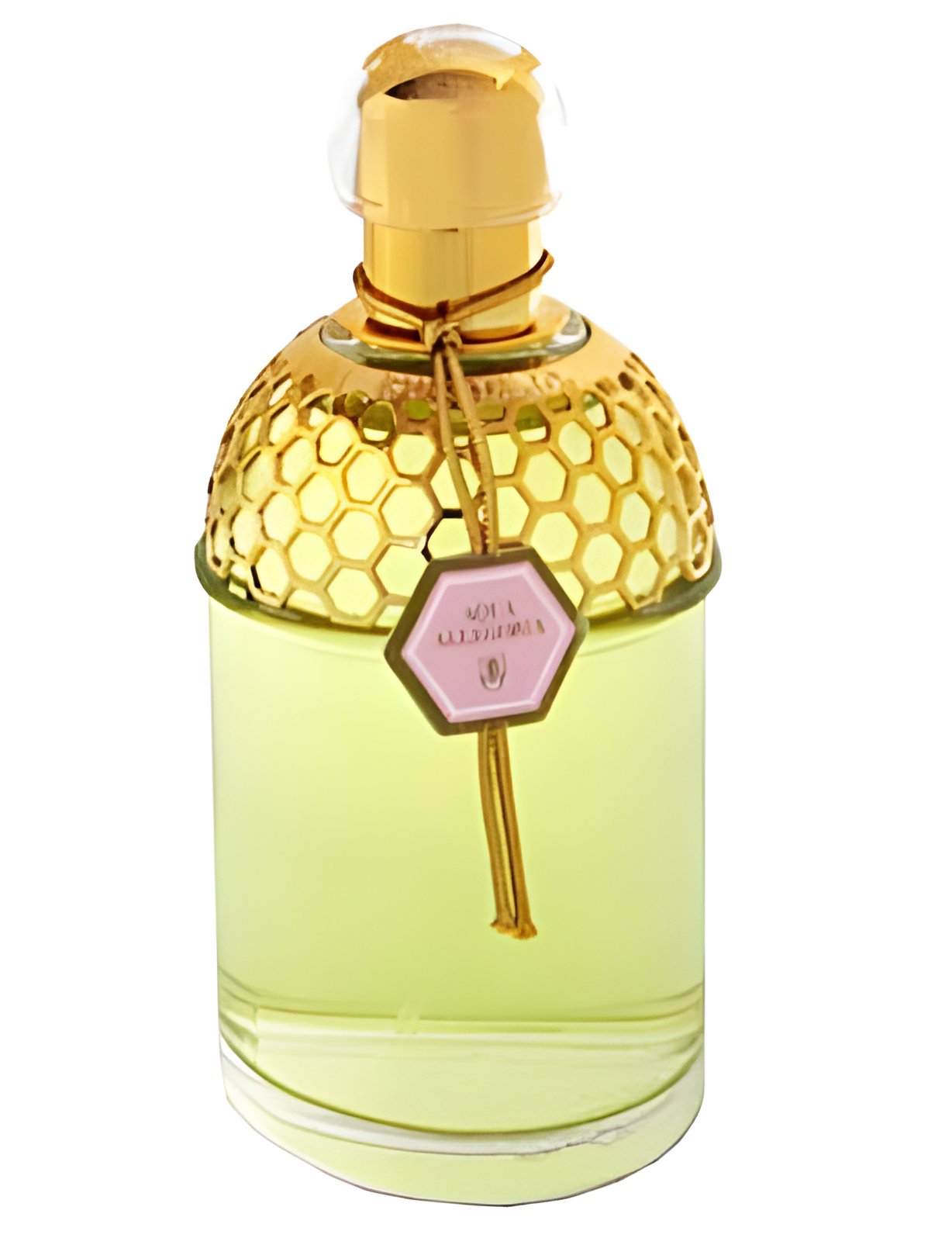 Picture of Aqua Allegoria Rosa Magnifica fragrance