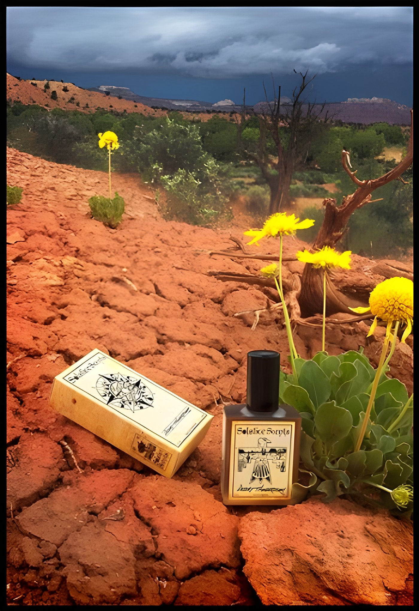 Picture of Desert Thunderstorm fragrance