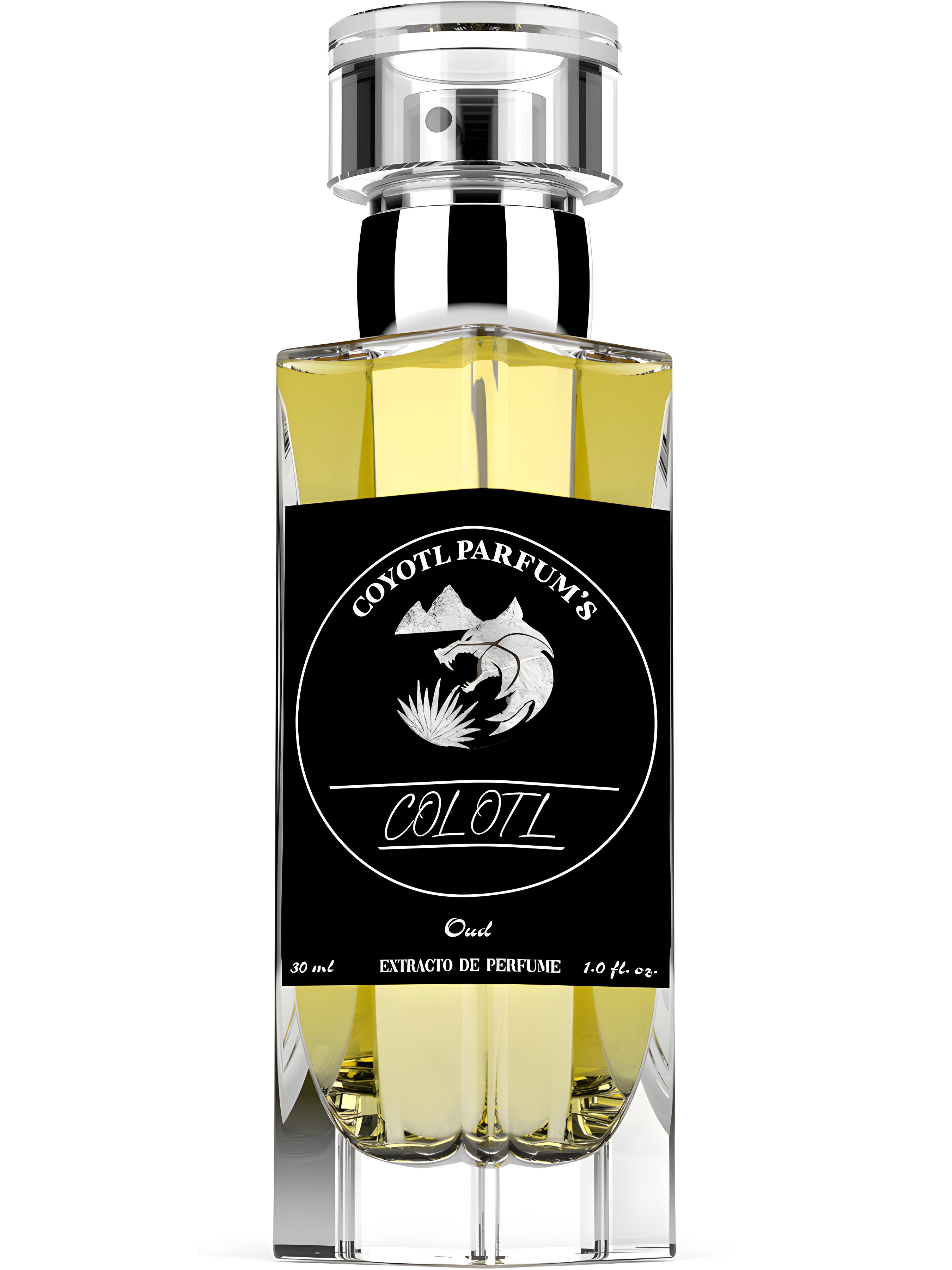 Picture of Colotl fragrance