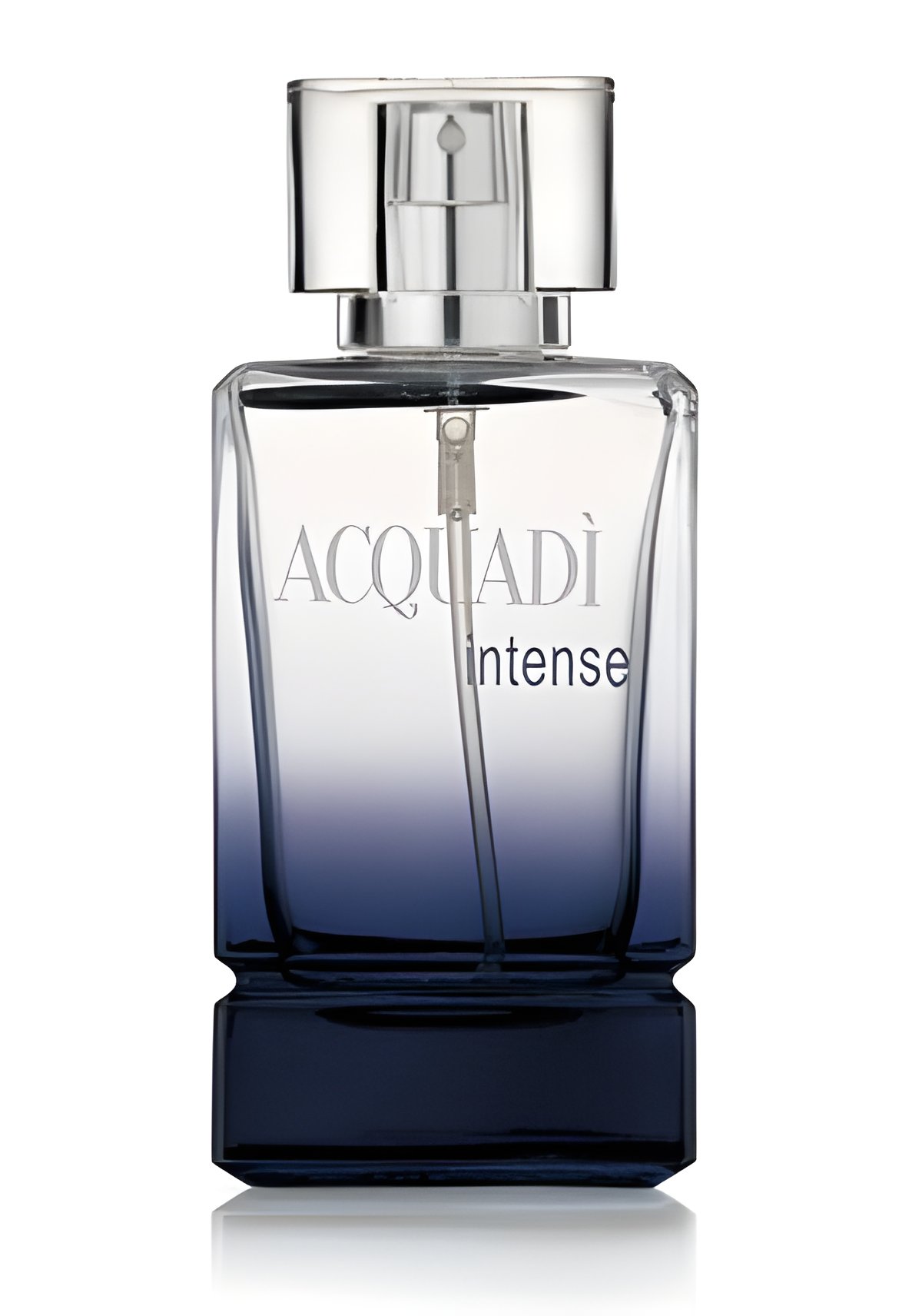 Picture of AcquaDi Intense fragrance