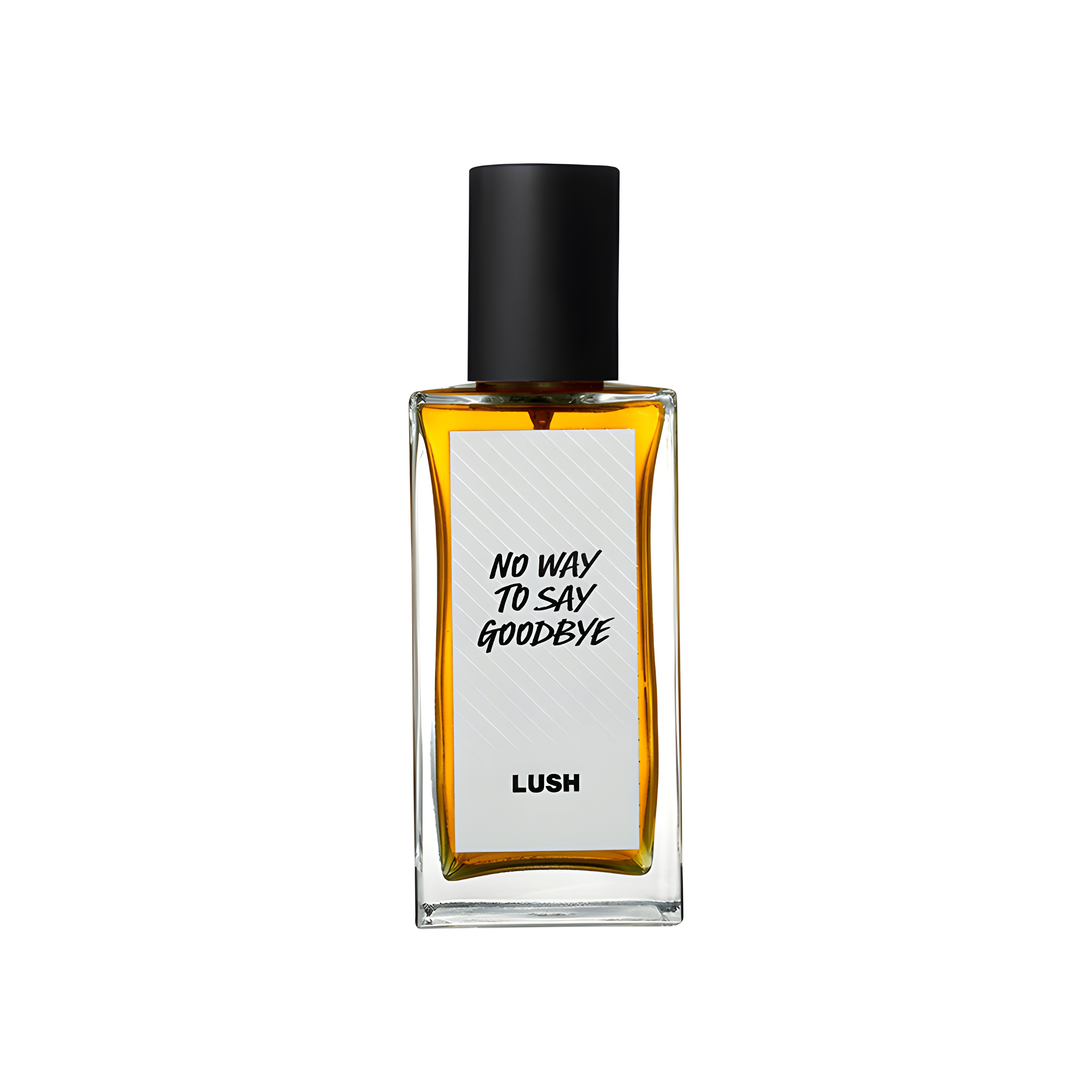 Picture of No Way to Say Goodbye fragrance