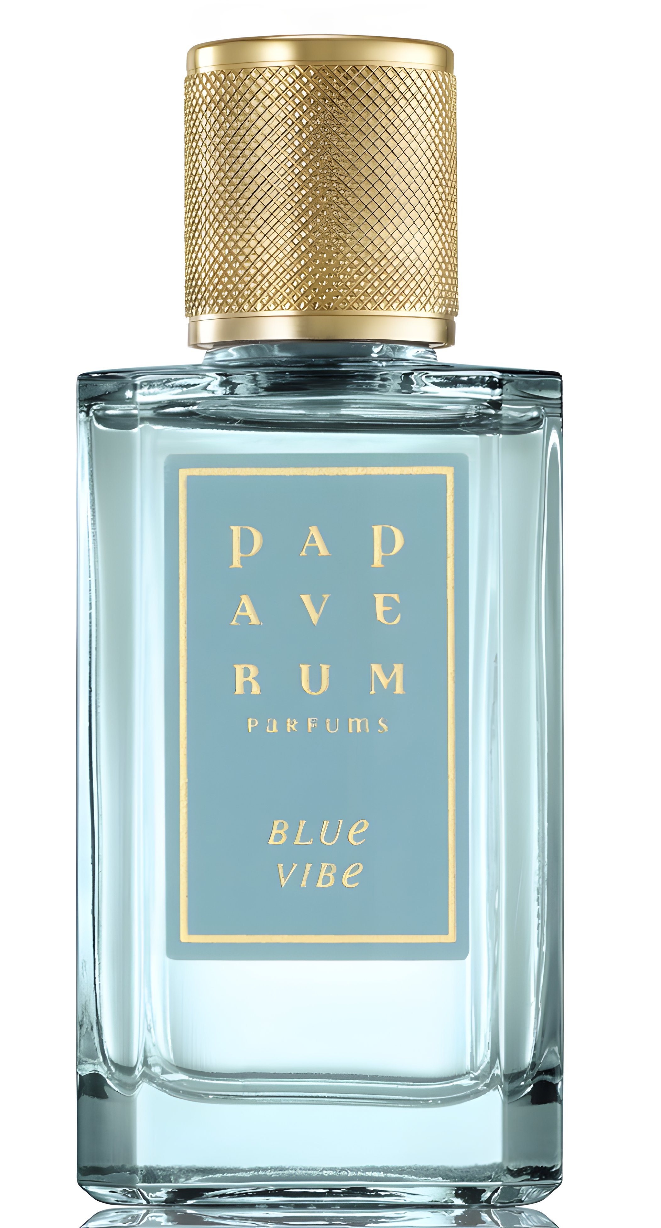 Picture of Blue Vibe fragrance