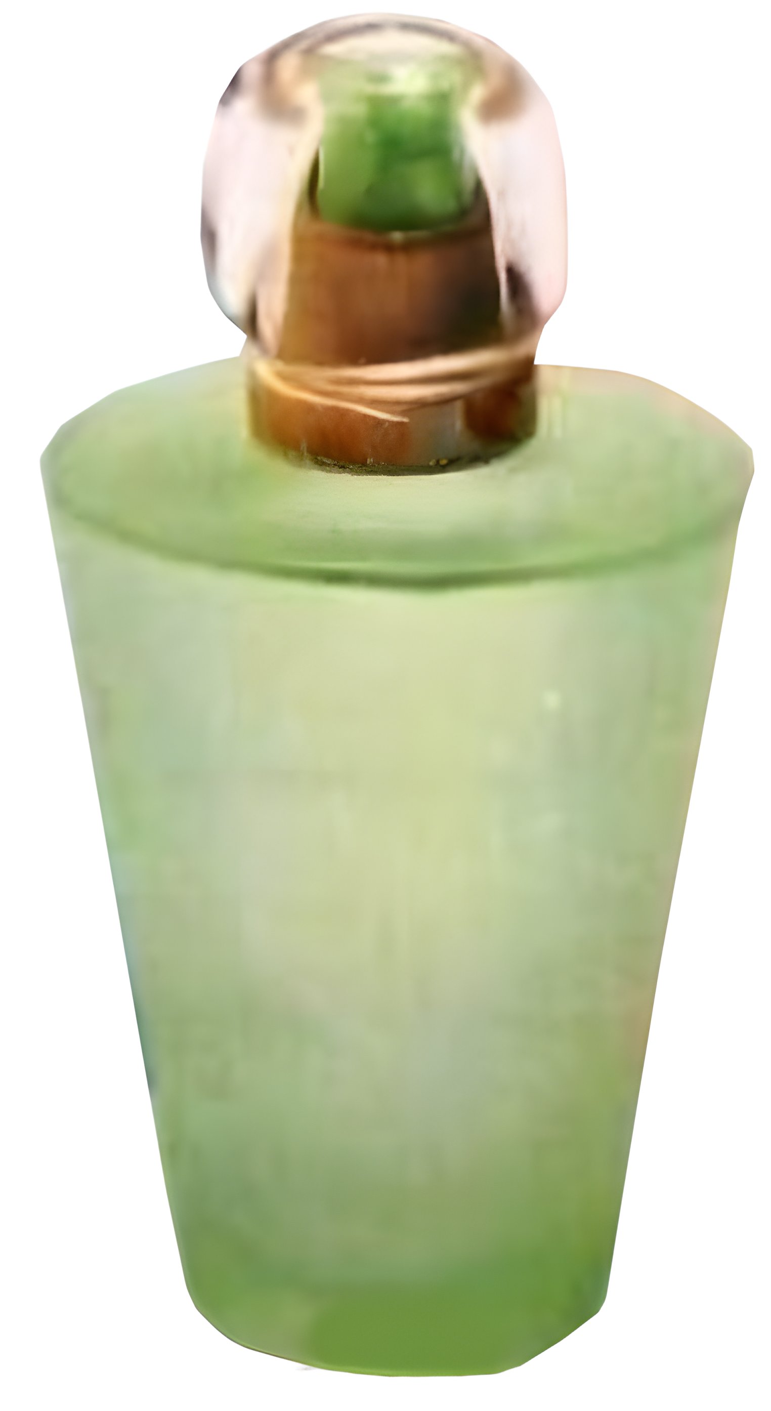 Picture of Vestha fragrance