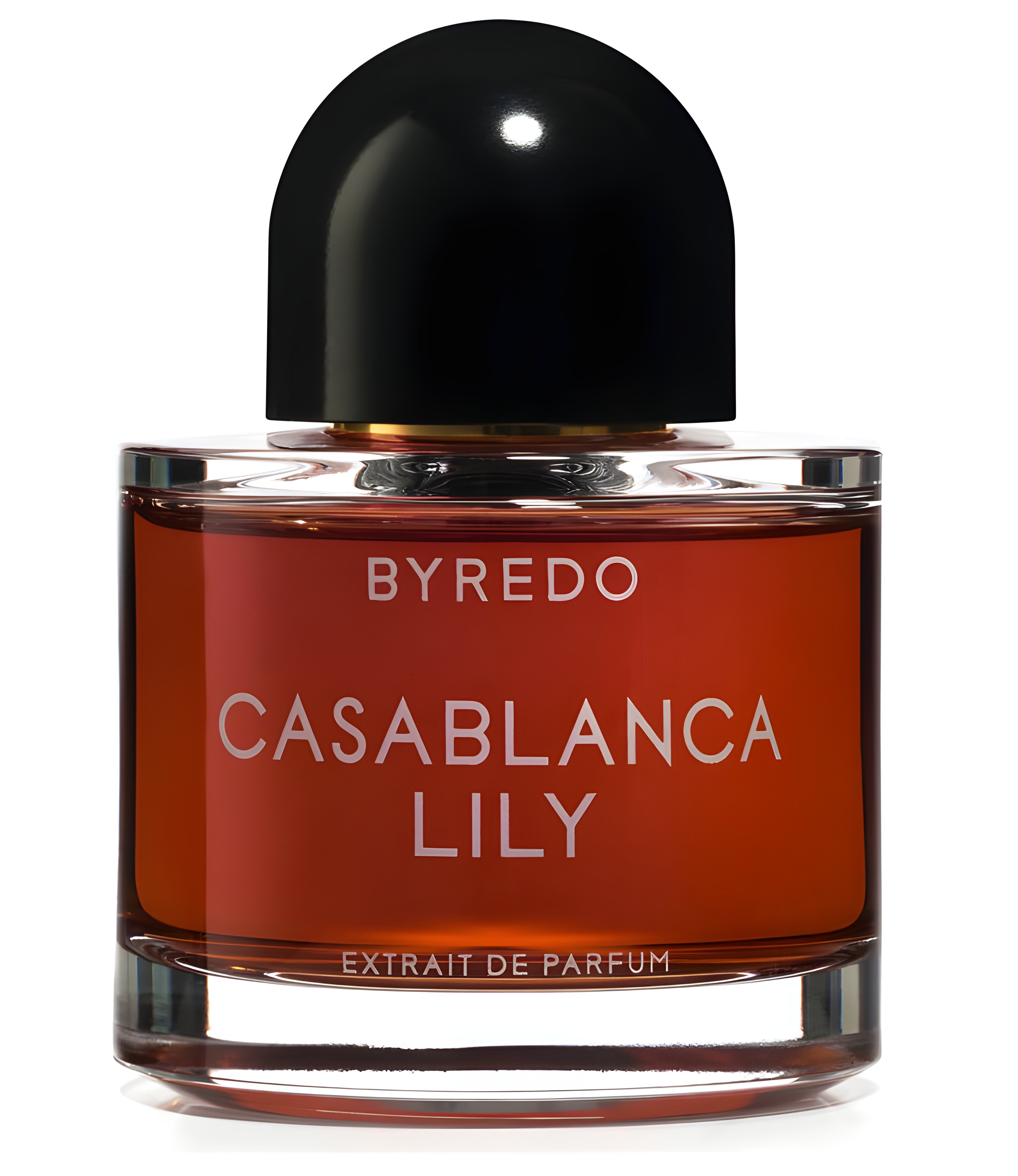 Picture of Casablanca Lily (2019) fragrance