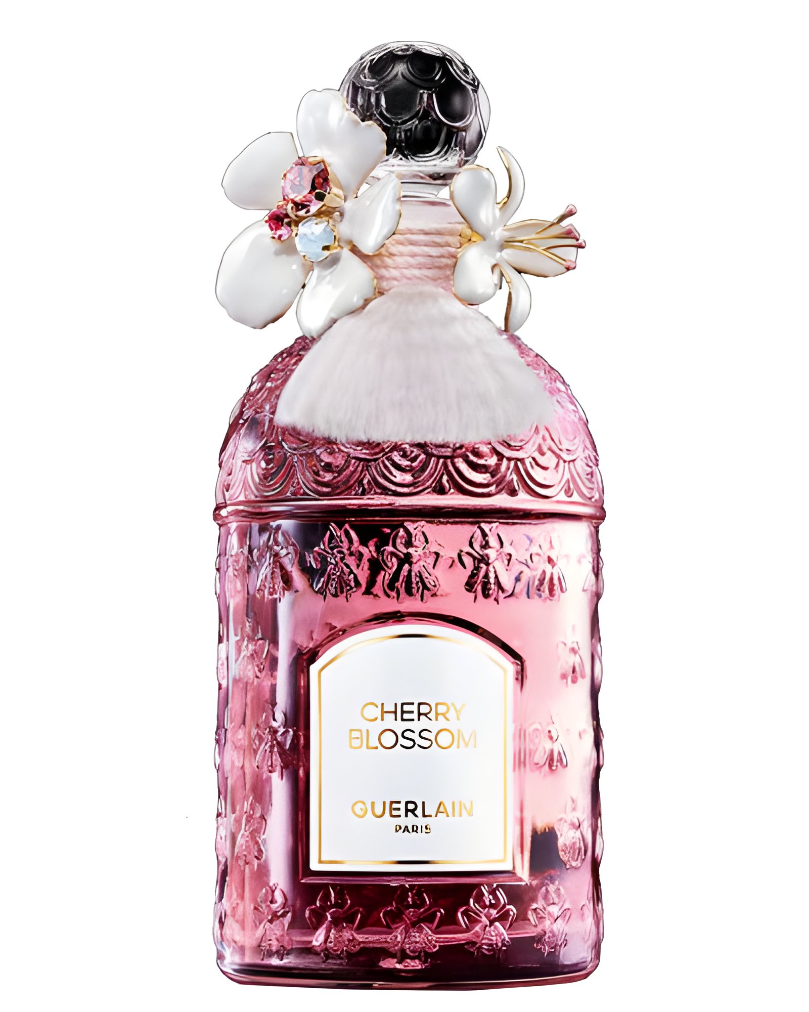 Picture of Cherry Blossom Millésime 2024 fragrance