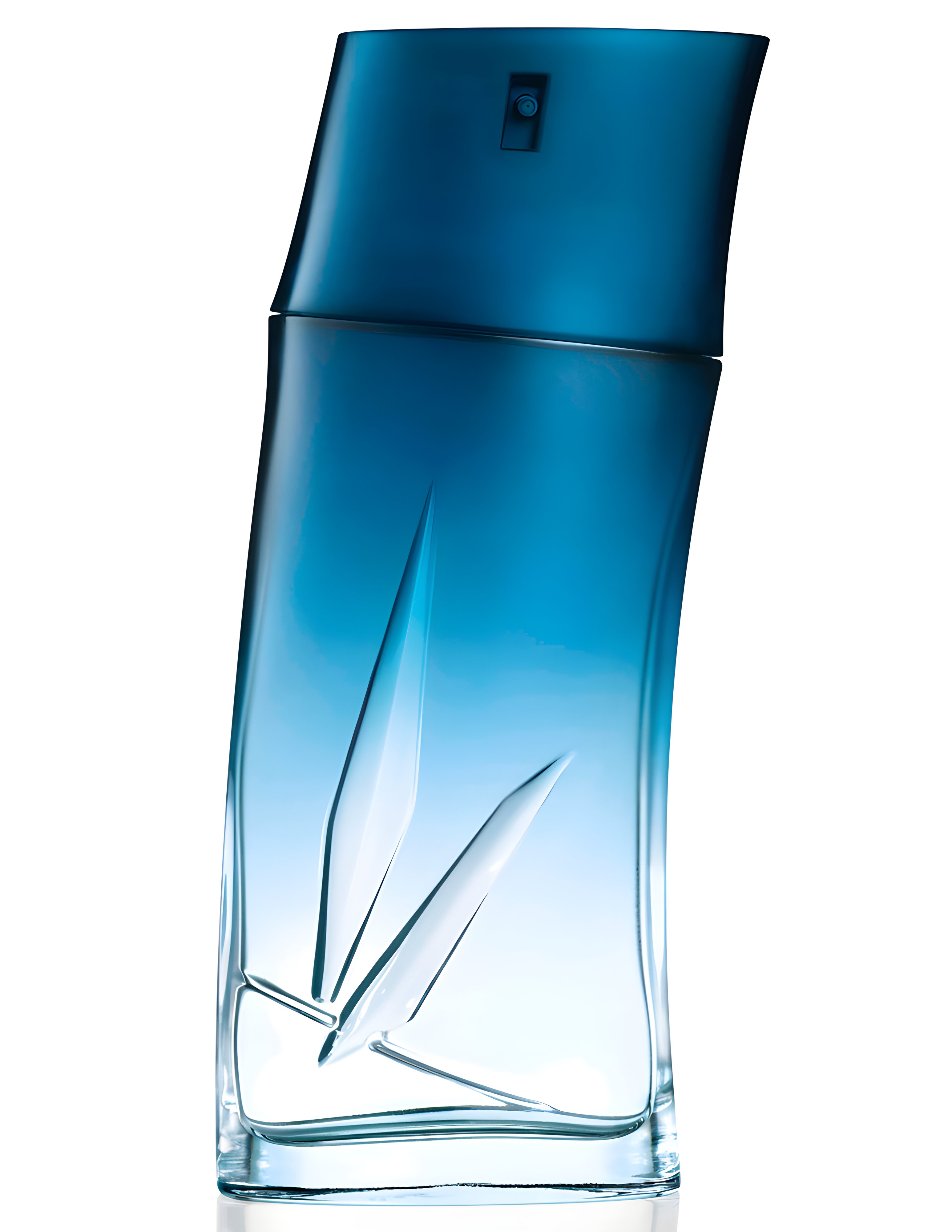 Picture of Kenzo Homme Eau de Parfum fragrance