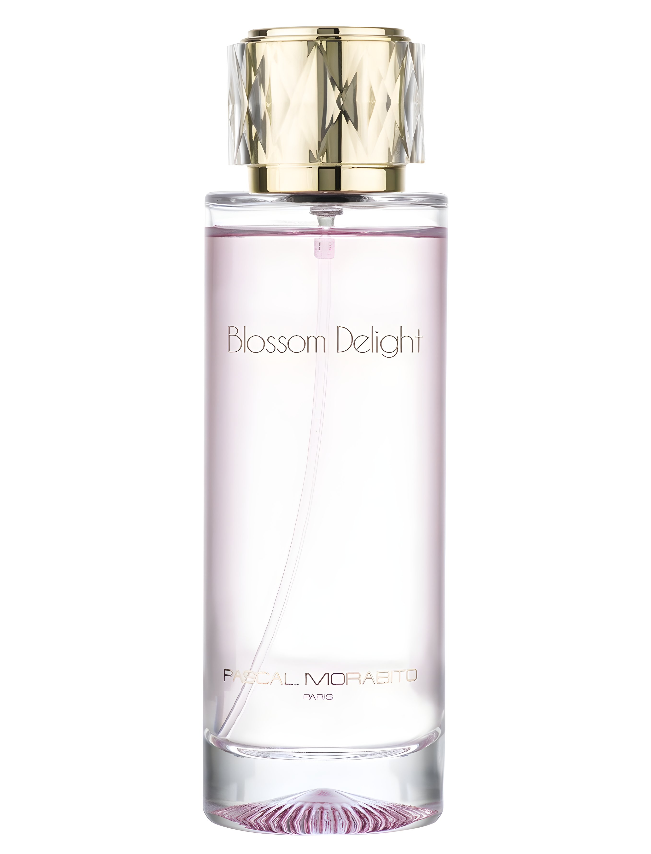 Picture of Blossom Delight fragrance