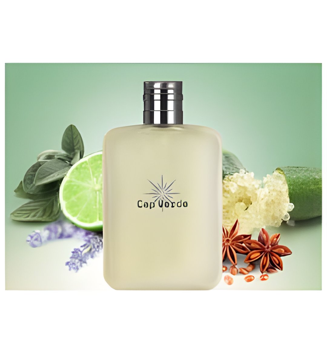 Picture of Cap Verde fragrance