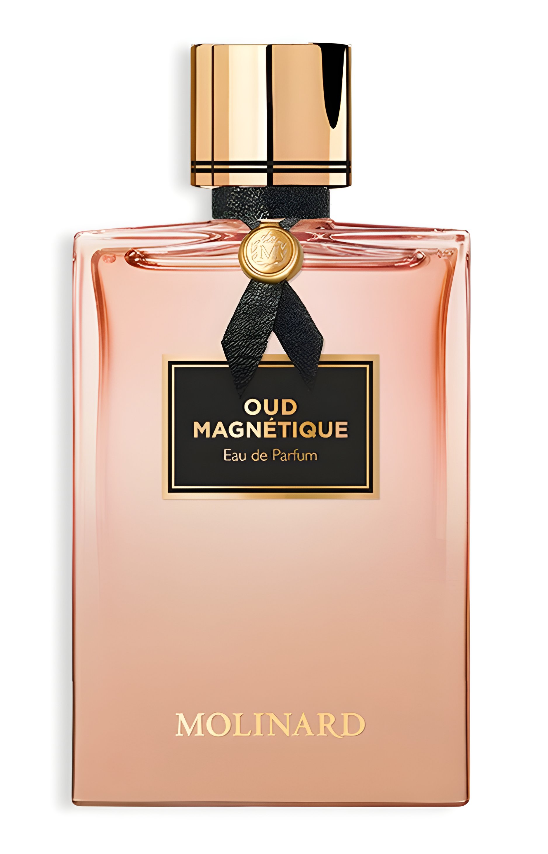 Picture of Oud Magnetique fragrance