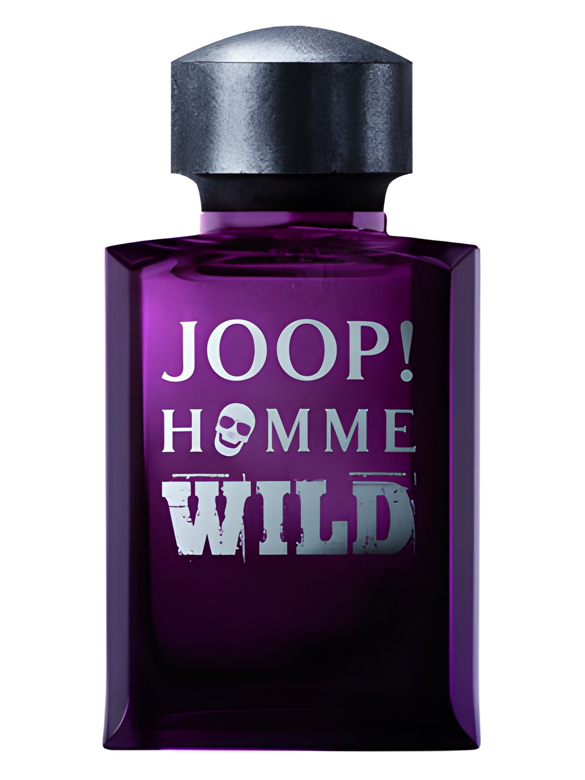 Picture of Joop! Homme Wild fragrance