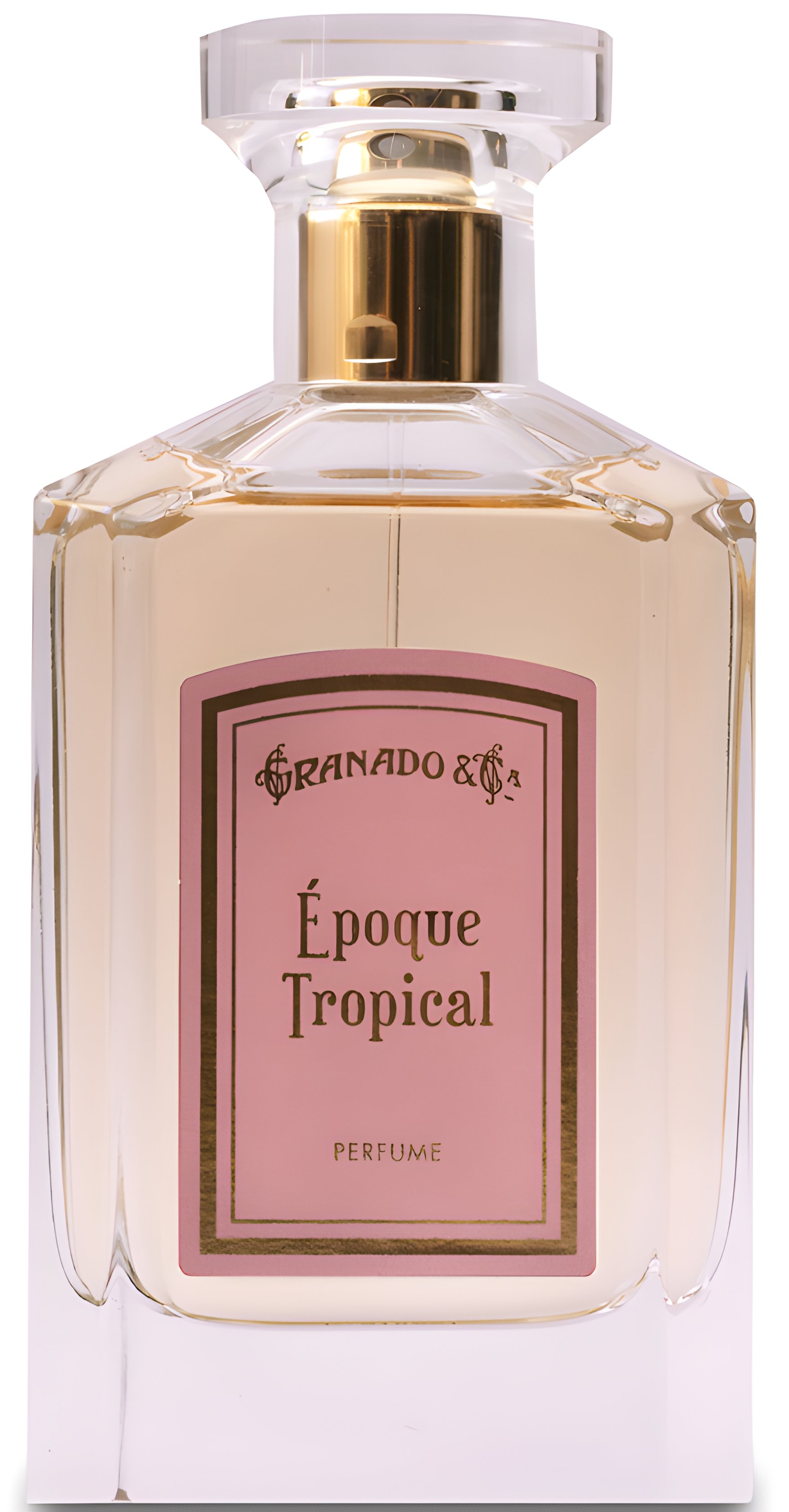 Picture of Époque Tropical fragrance