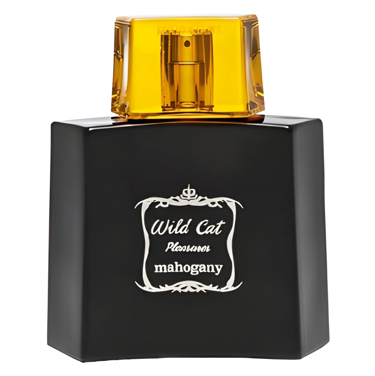 Picture of Wild Cat fragrance