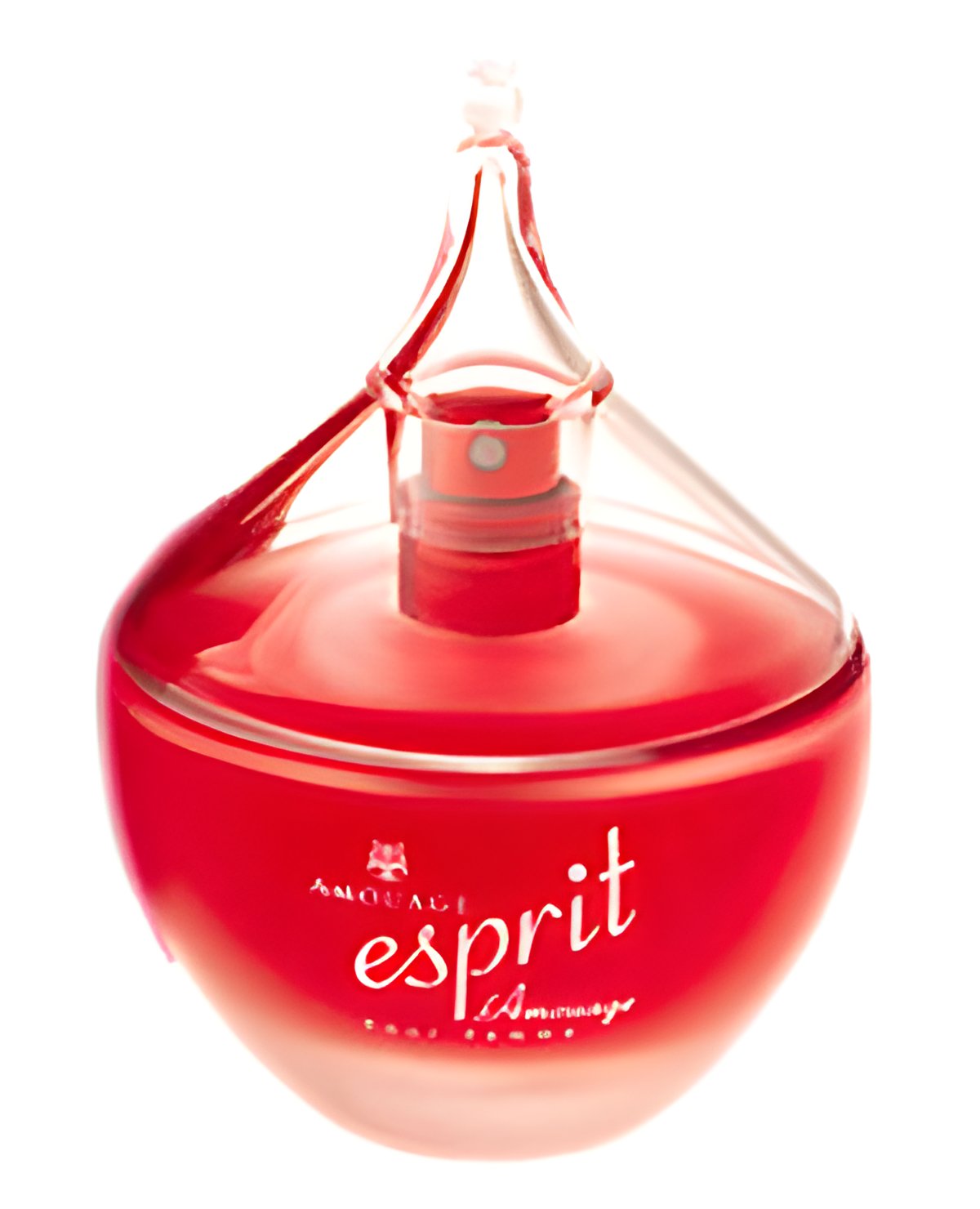 Picture of Esprit d'Amouage fragrance