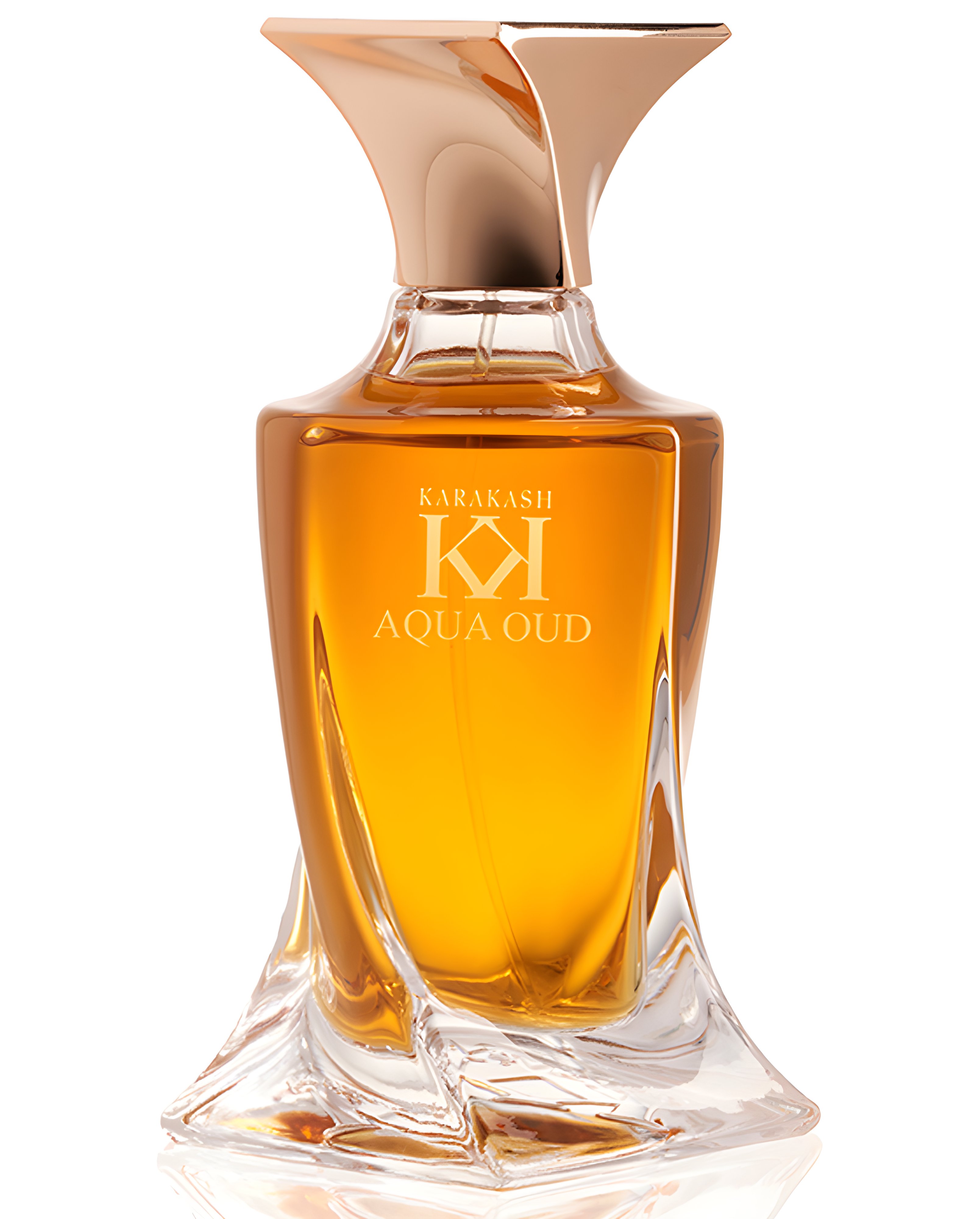 Picture of Aqua Oud fragrance