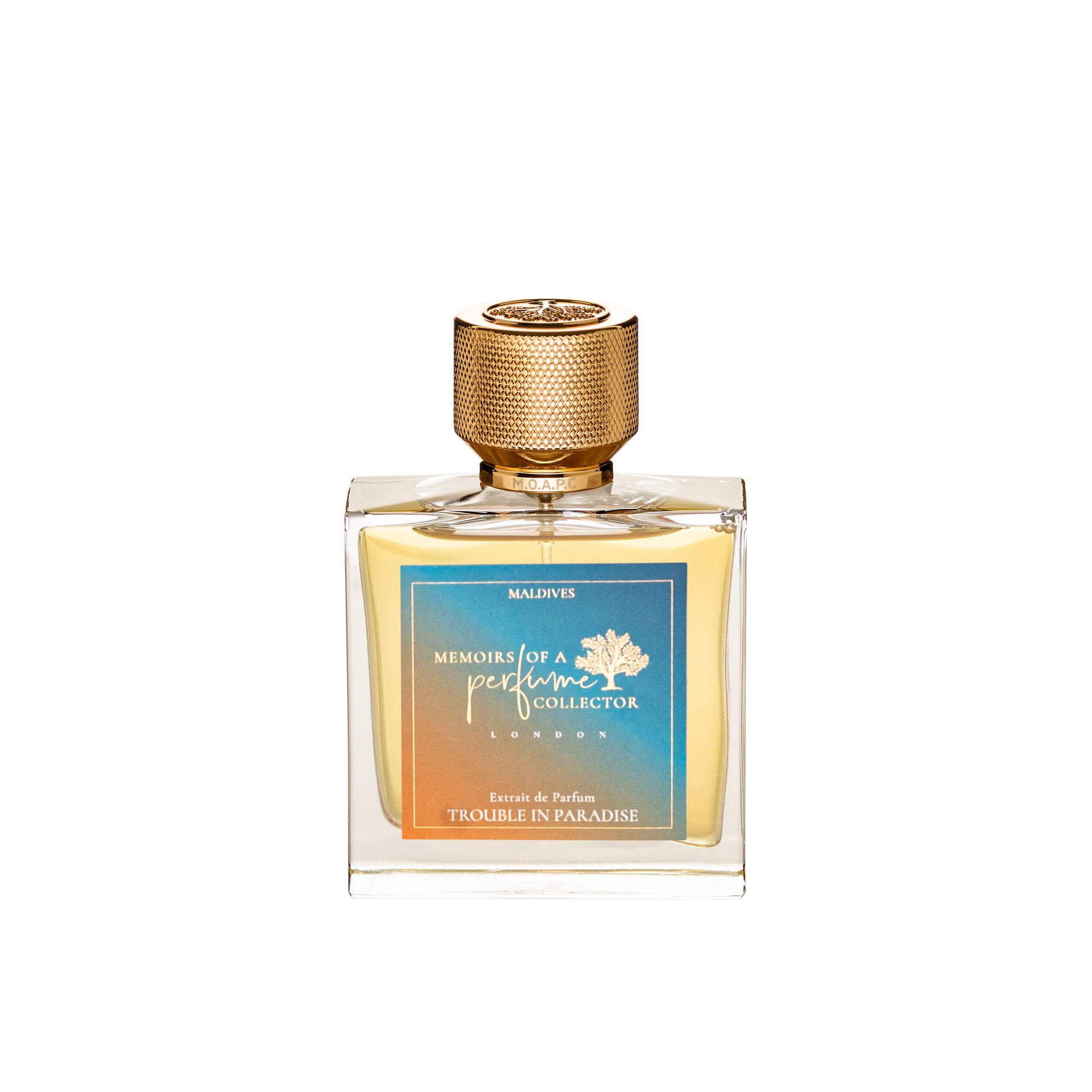 Picture of Trouble in Paradise fragrance