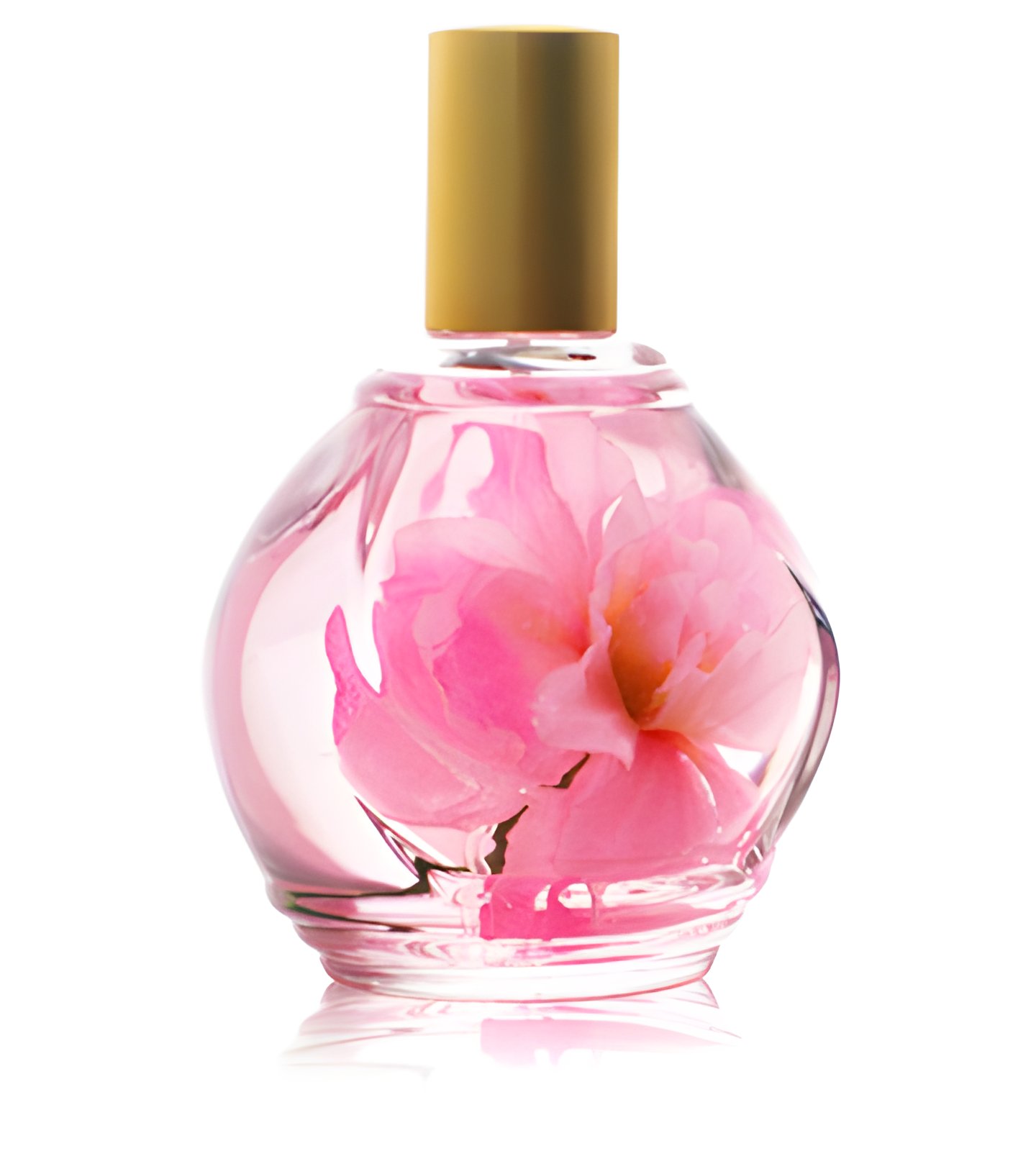 Picture of Parfum d'Ambiance Rose fragrance