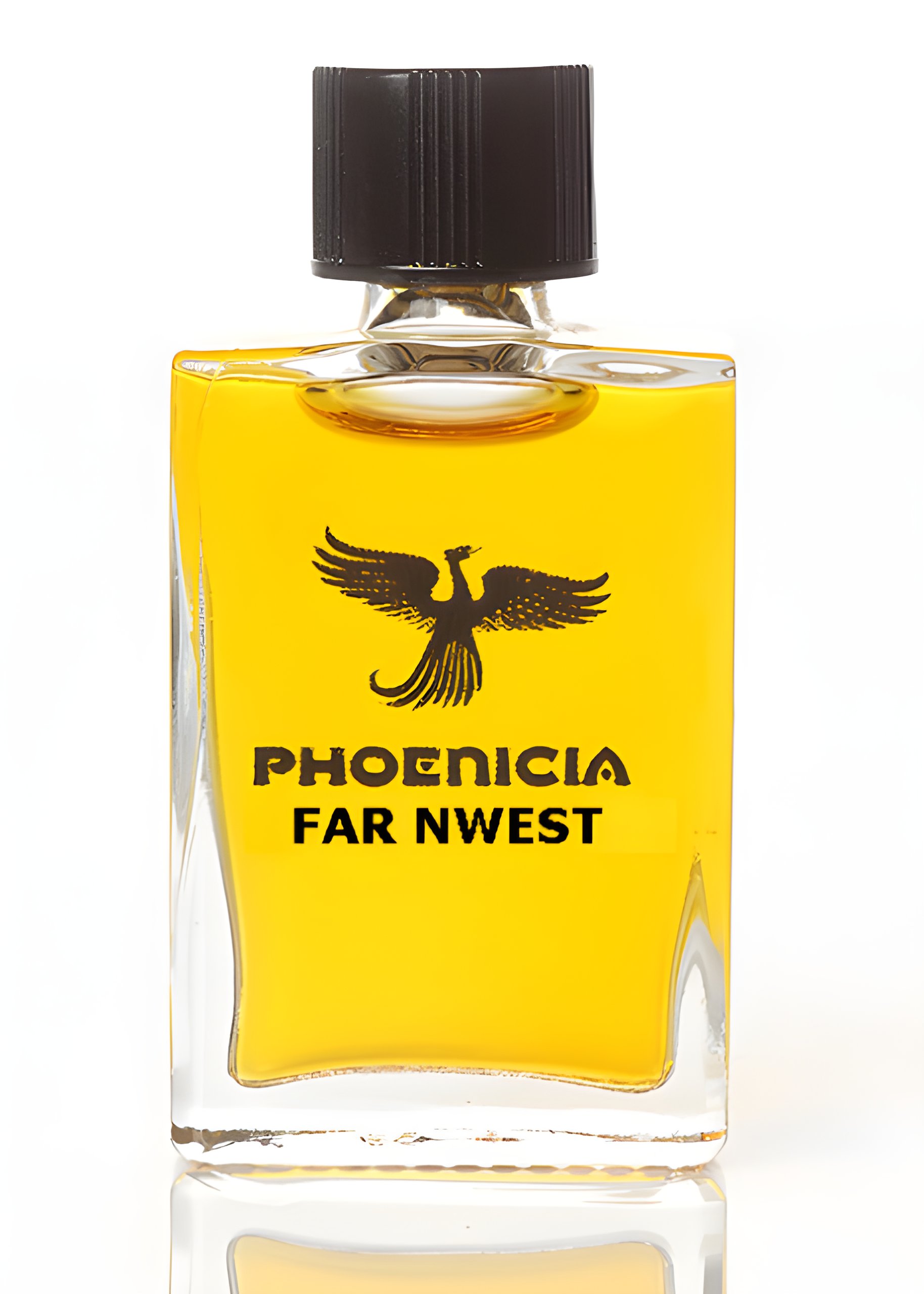 Picture of Far NWest fragrance