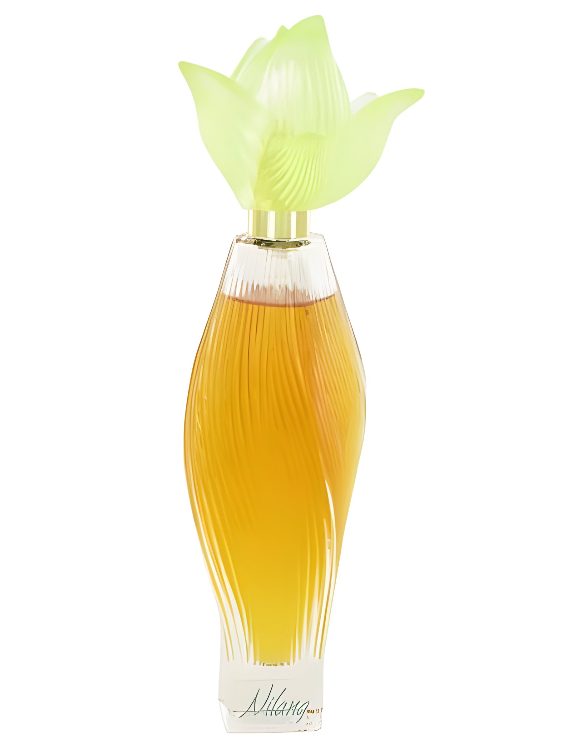 Picture of Nilang fragrance