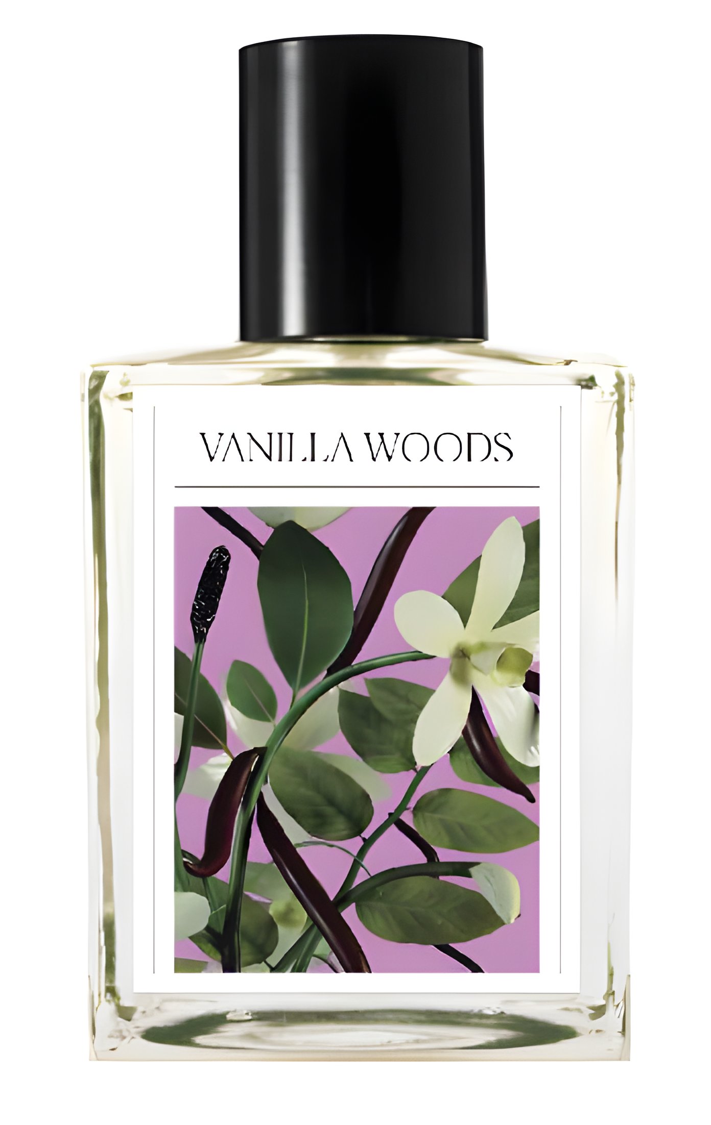 Picture of Vanilla Woods fragrance