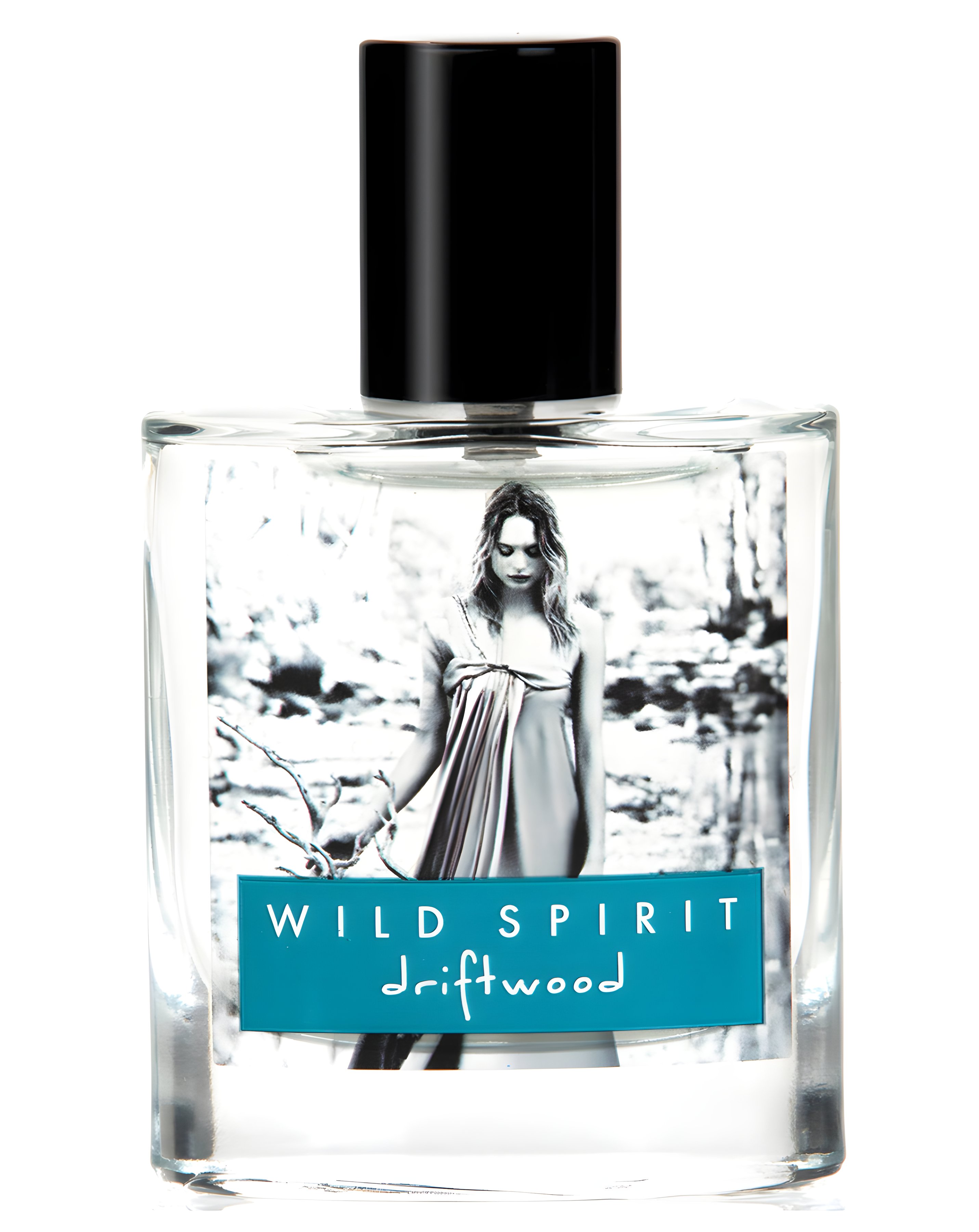 Picture of Driftwood fragrance