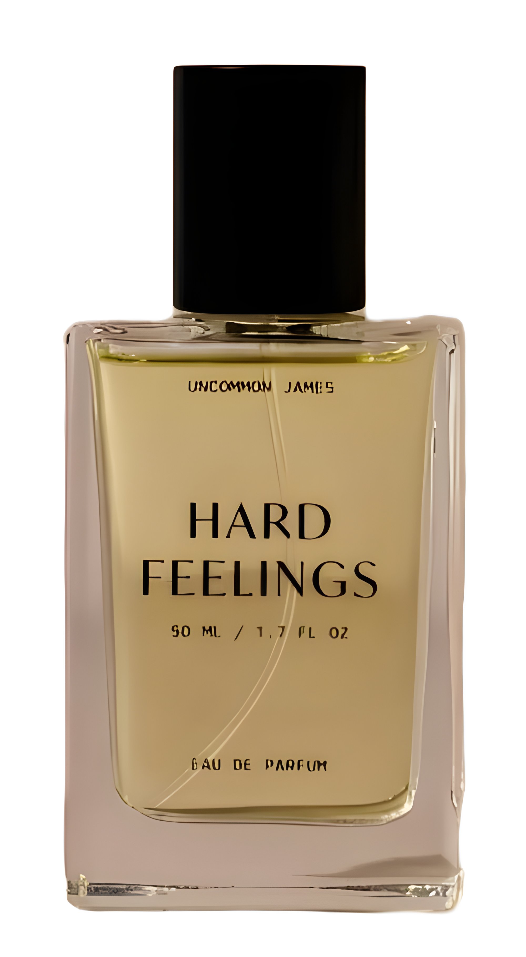 Picture of Hard Feelings fragrance