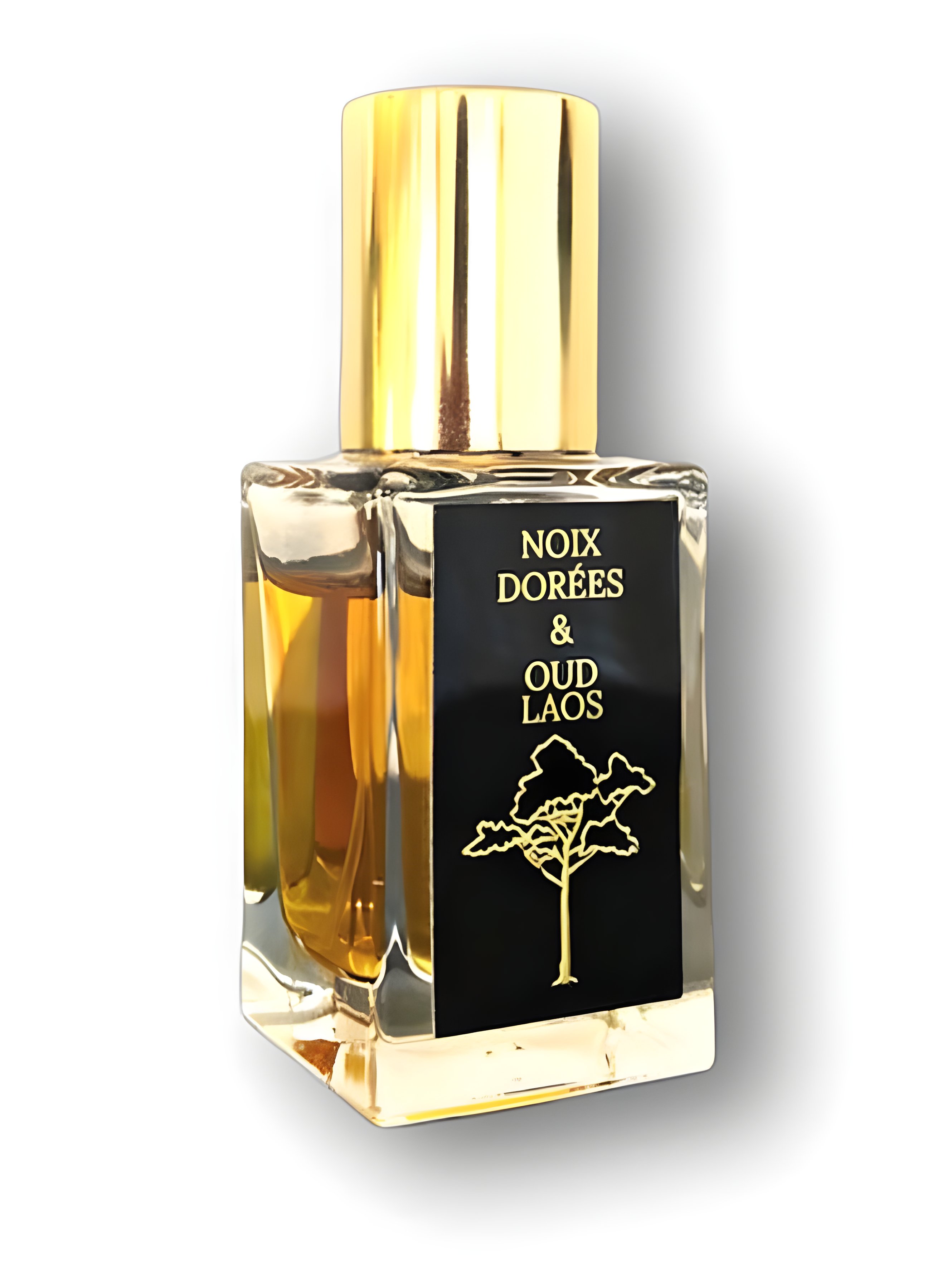 Picture of Noix Dorées & Oud Laos fragrance