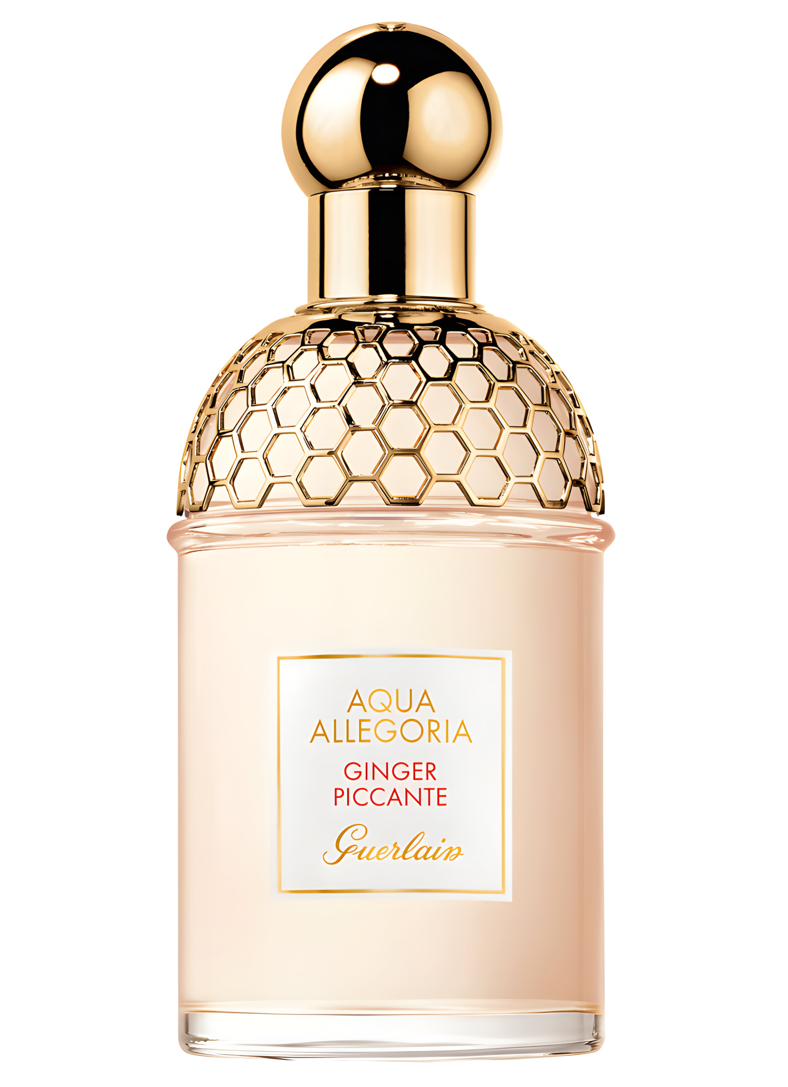 Picture of Aqua Allegoria Ginger Piccante fragrance