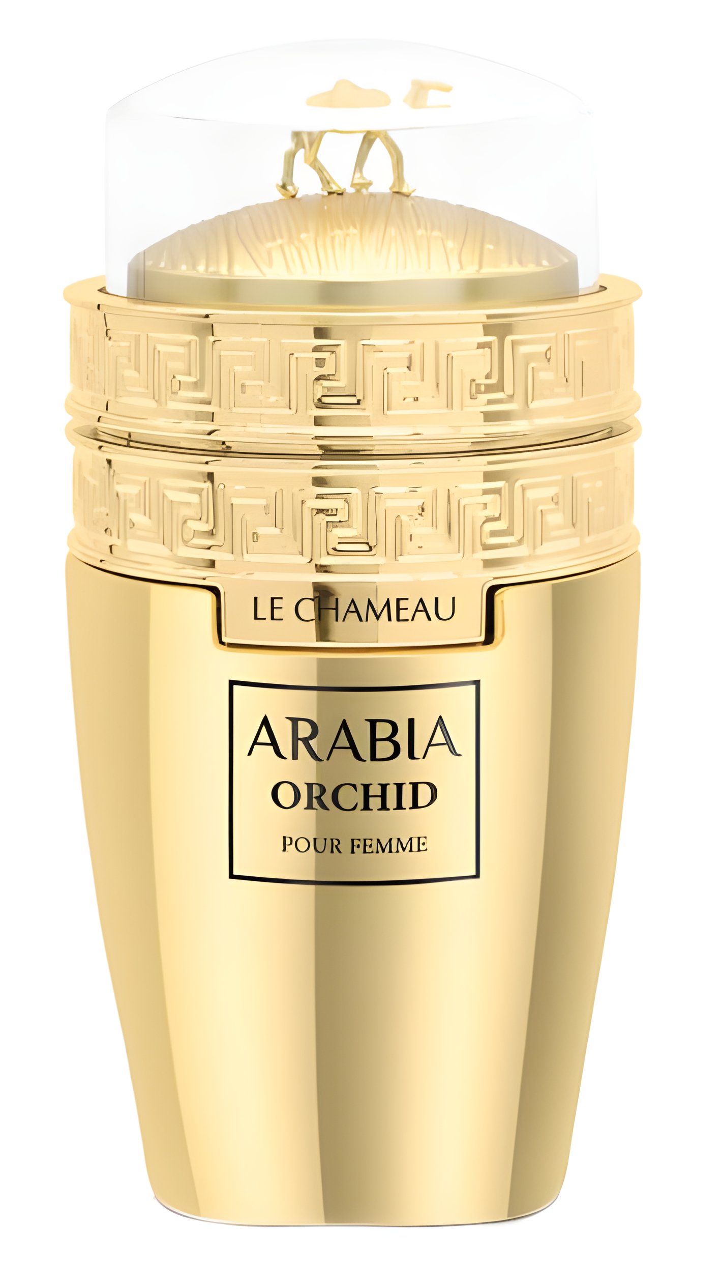 Picture of Arabia Orchid fragrance