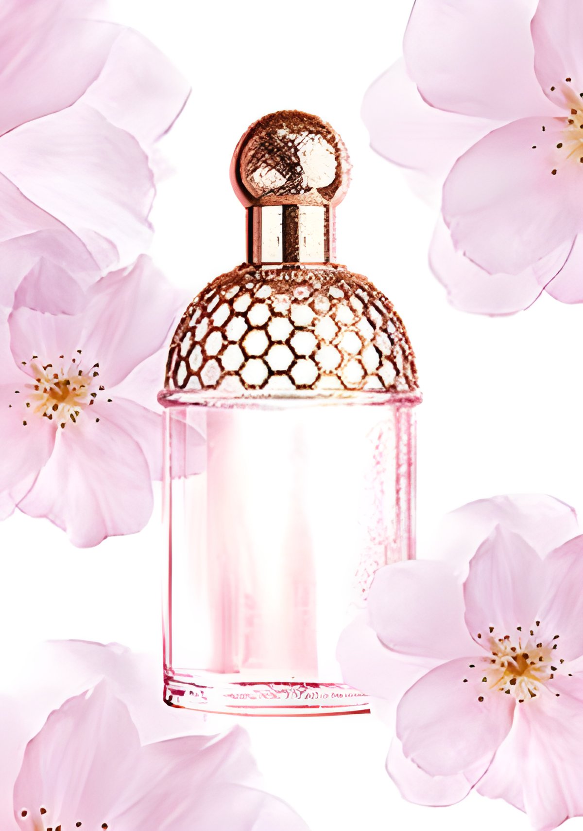 Picture of Aqua Allegoria Cherry Blossom fragrance