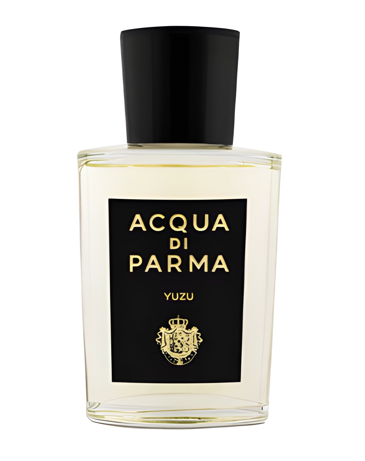 Picture of Yuzu Eau de Parfum fragrance