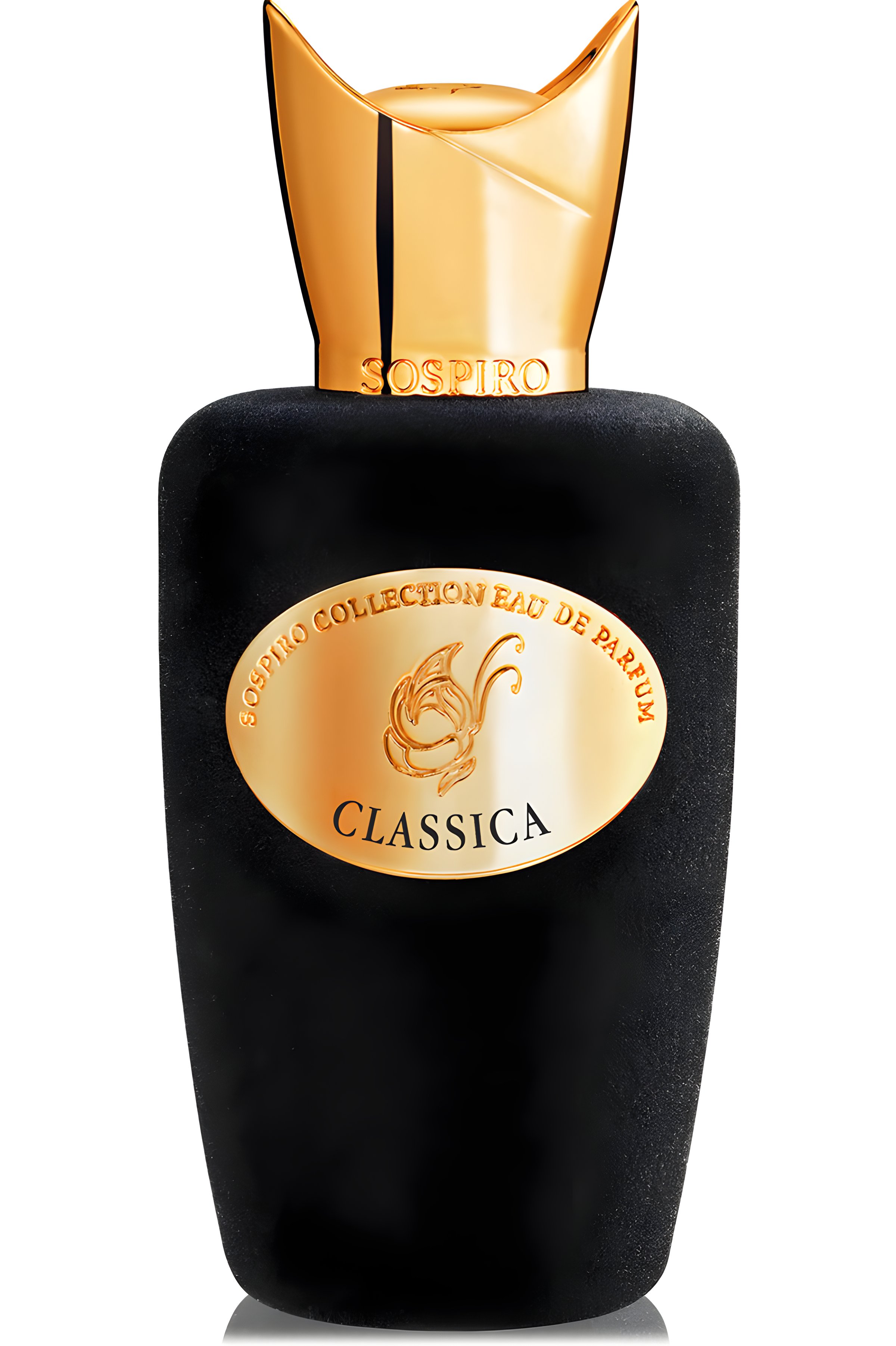 Picture of Classica fragrance