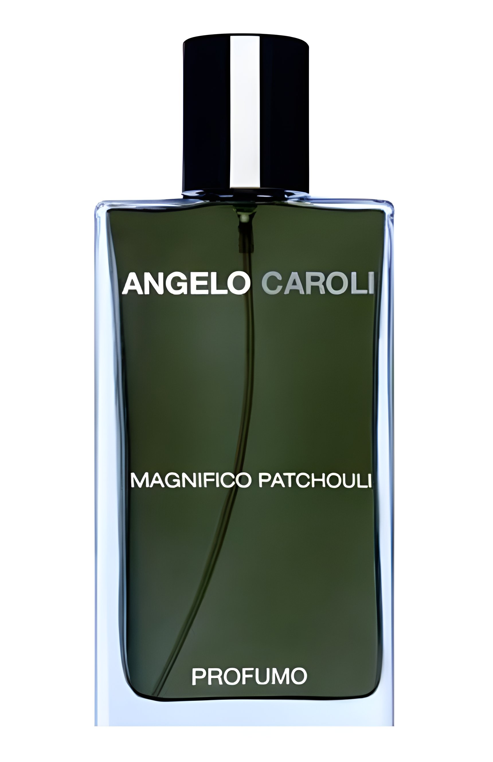 Picture of Magnifico Patchouli fragrance