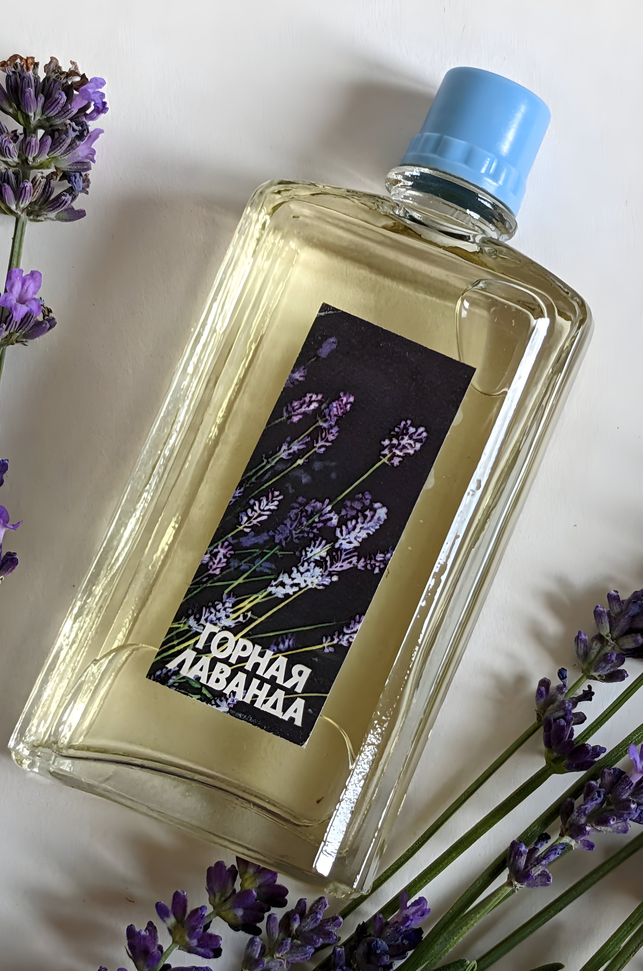 Picture of Горная Лаванда (Mountain Lavender) fragrance