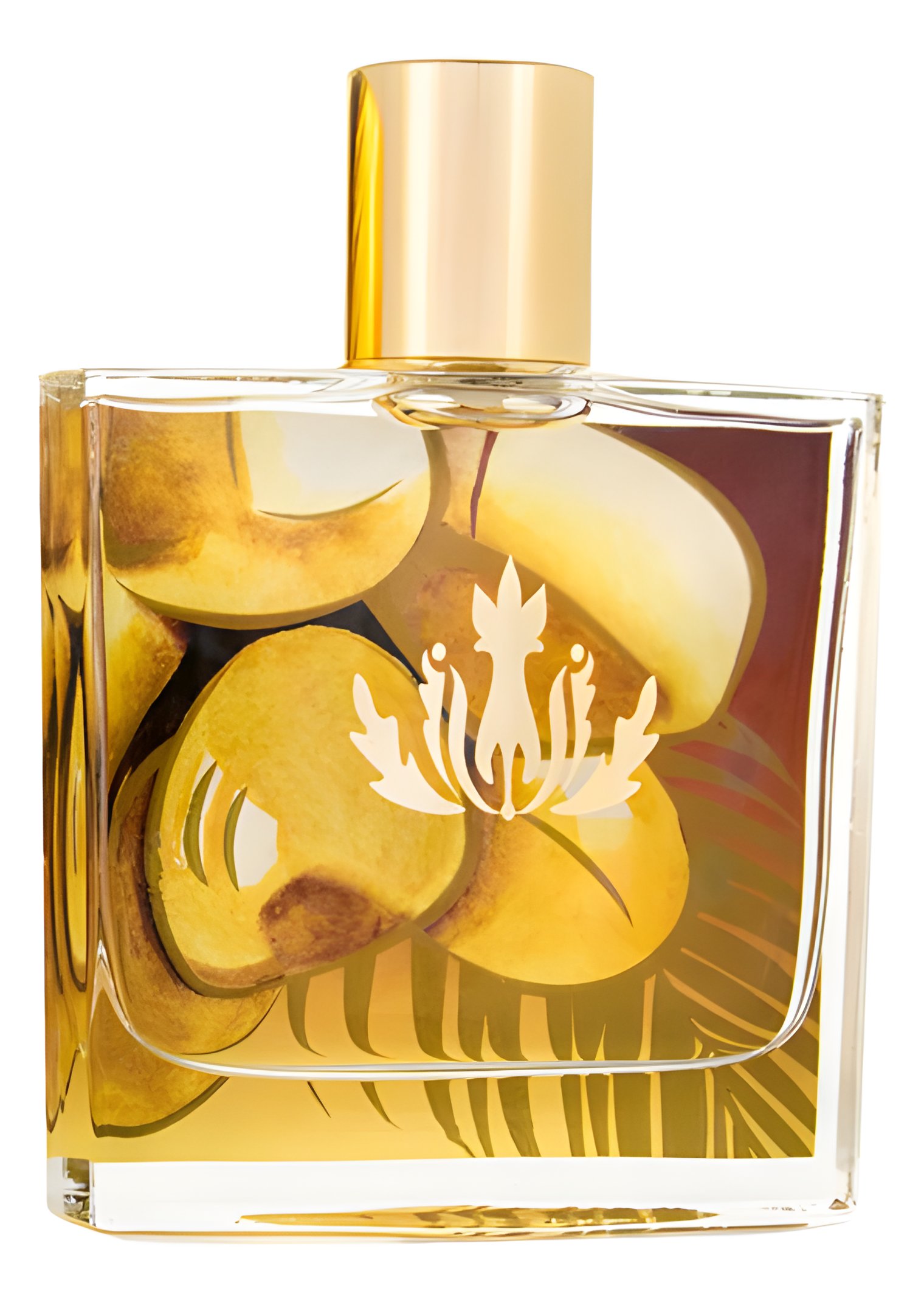 Picture of Coconut Vanilla fragrance