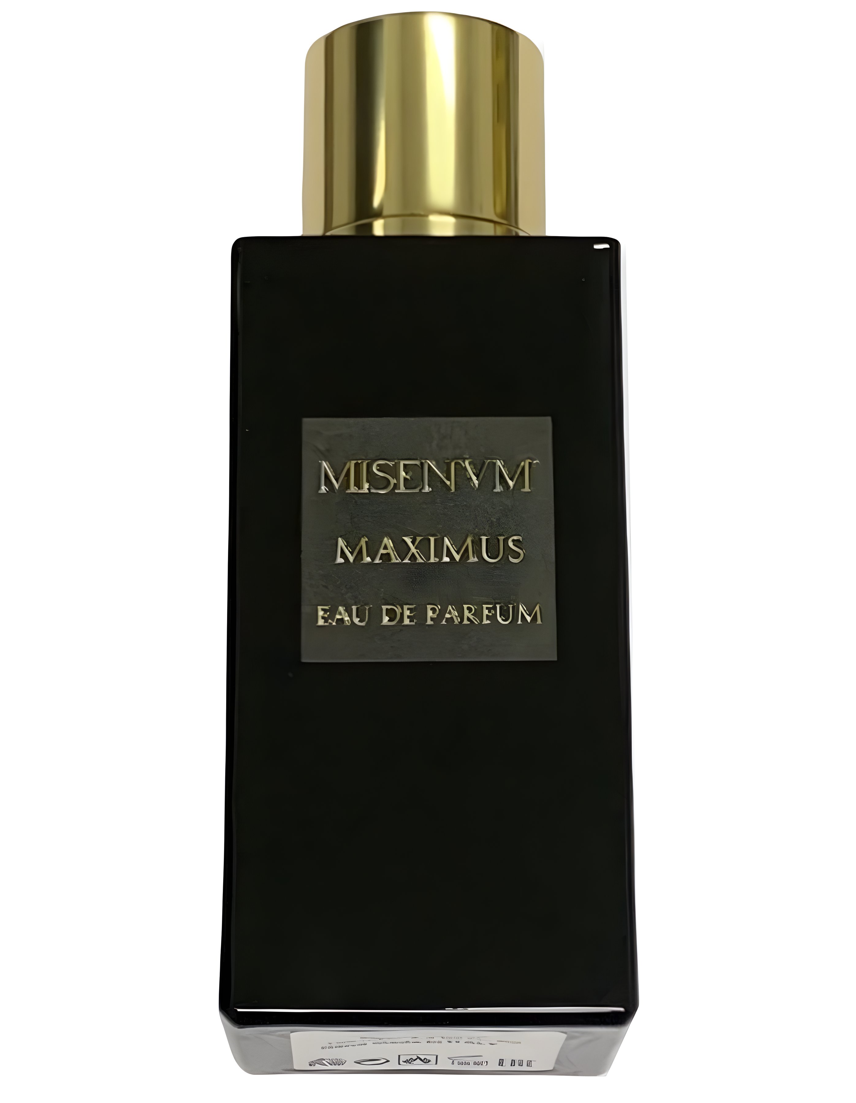 Picture of Maximus fragrance