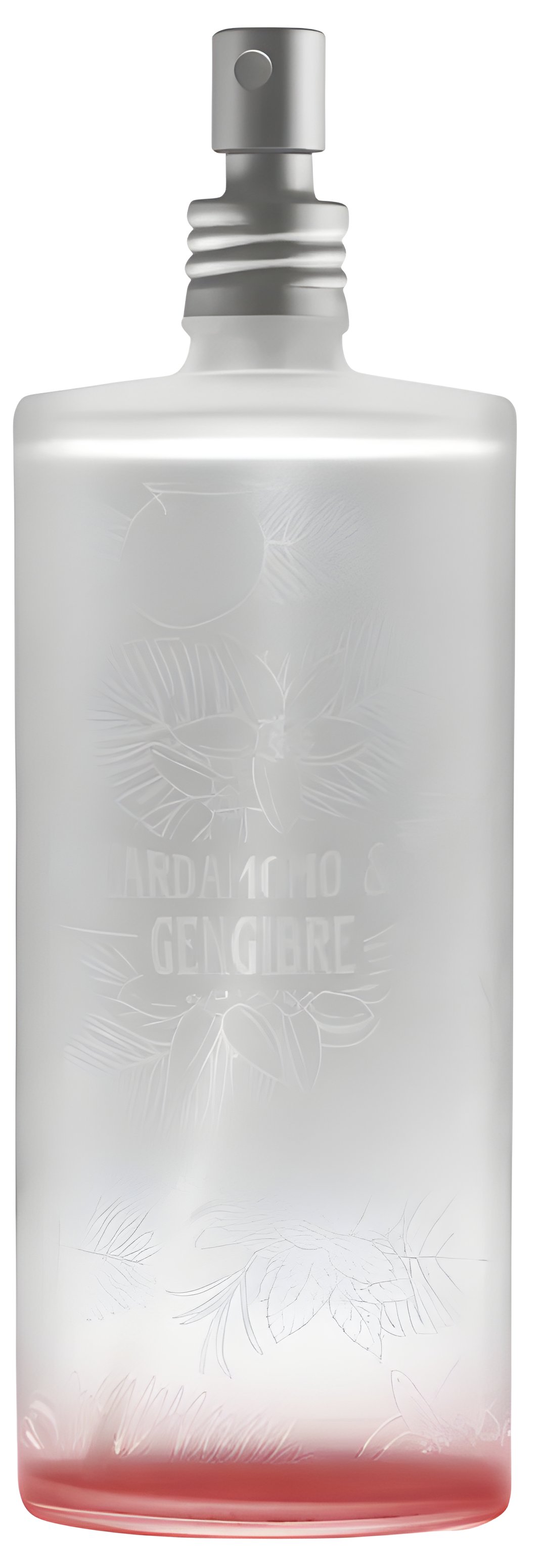 Picture of Cardamomo & Gengibre fragrance