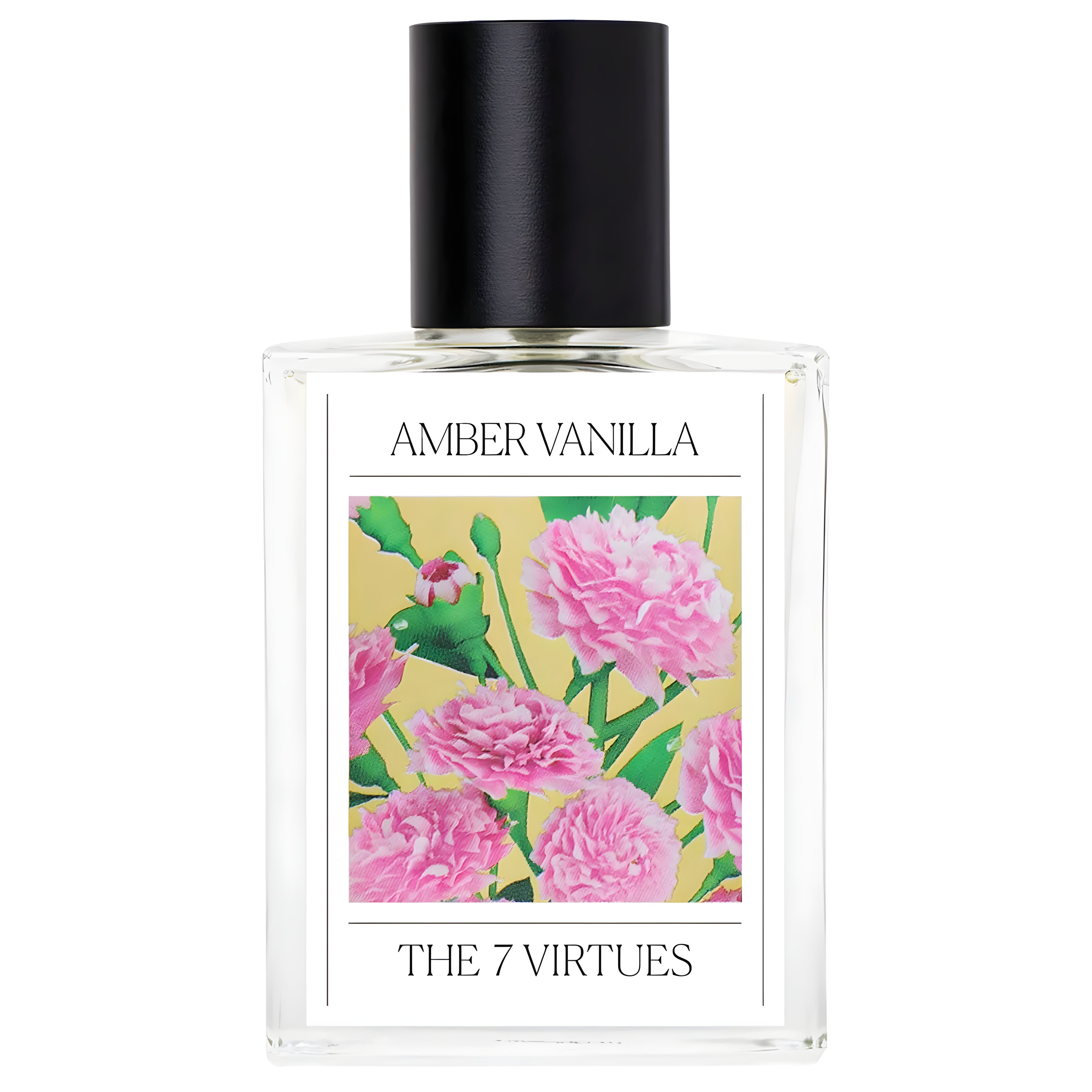 Picture of Amber Vanilla fragrance